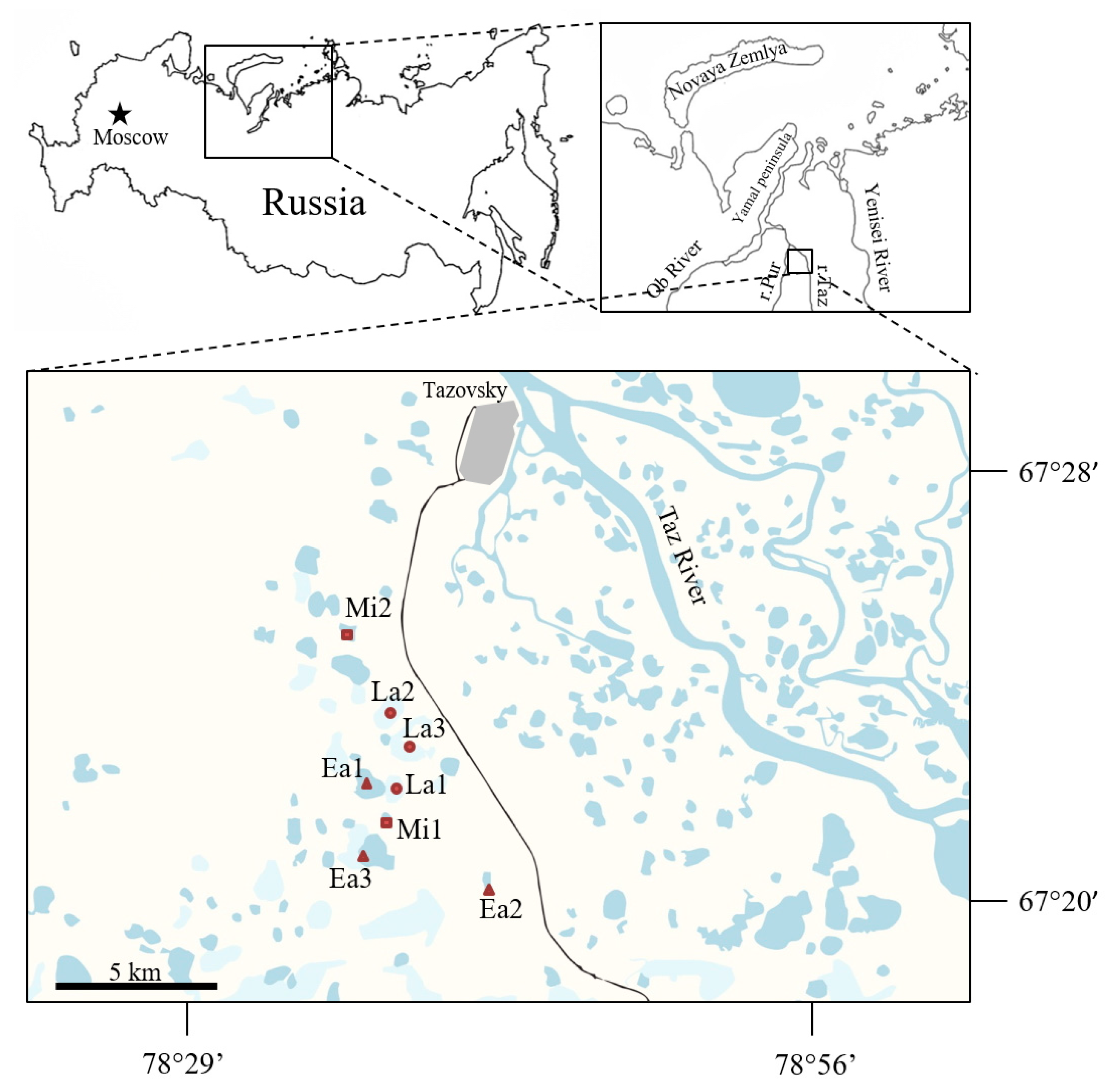 Plants 09 00867 g012