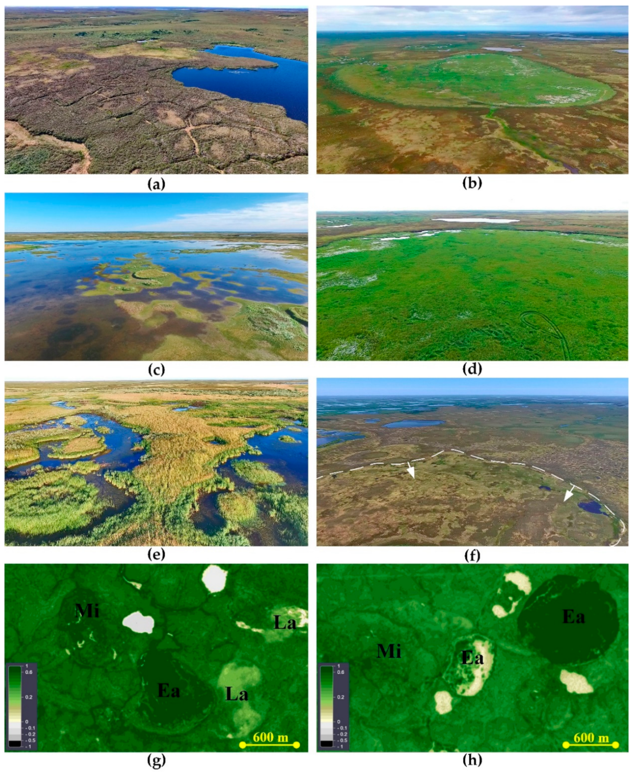 Plants 09 00867 g013