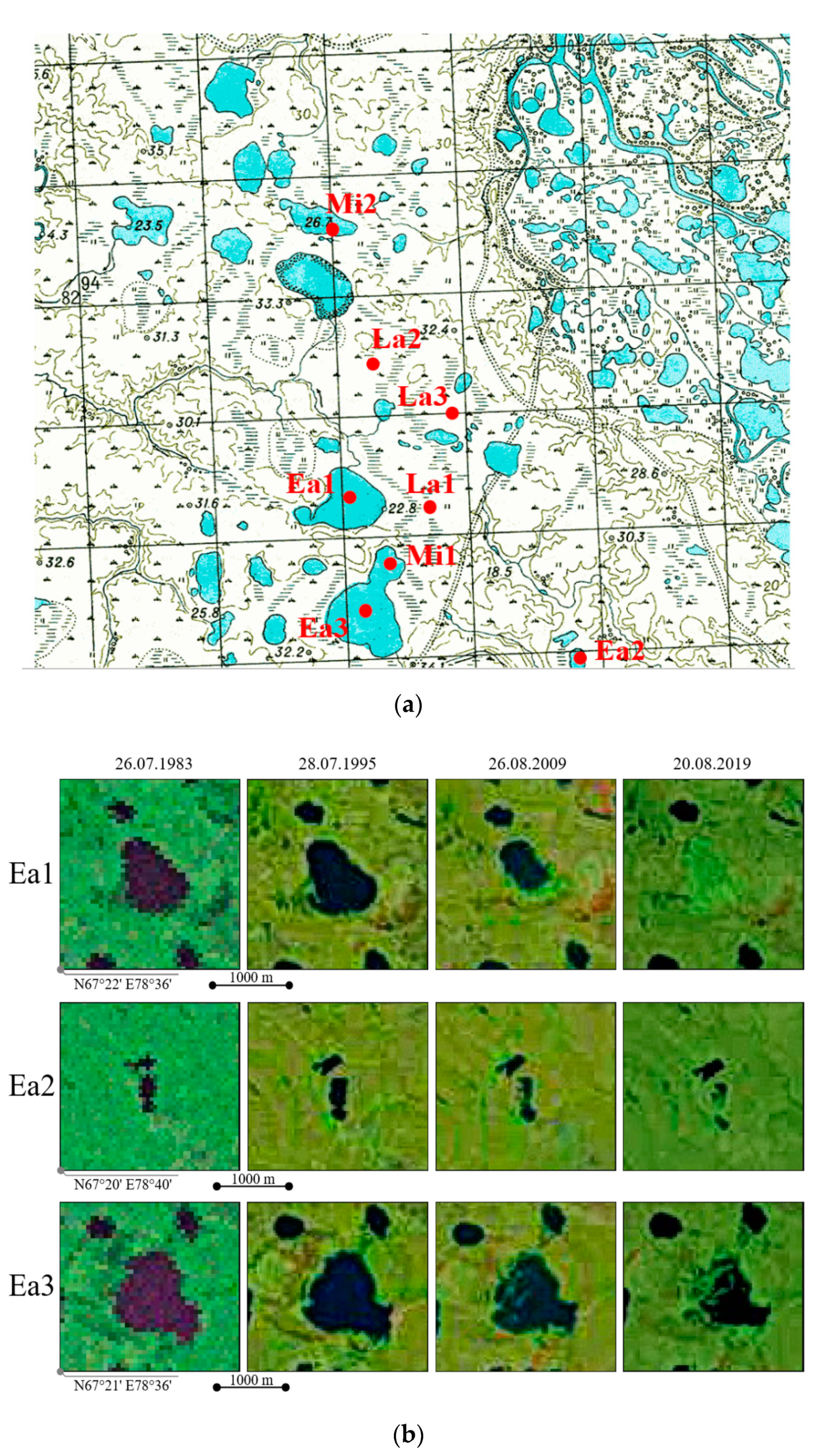 Plants 09 00867 g014