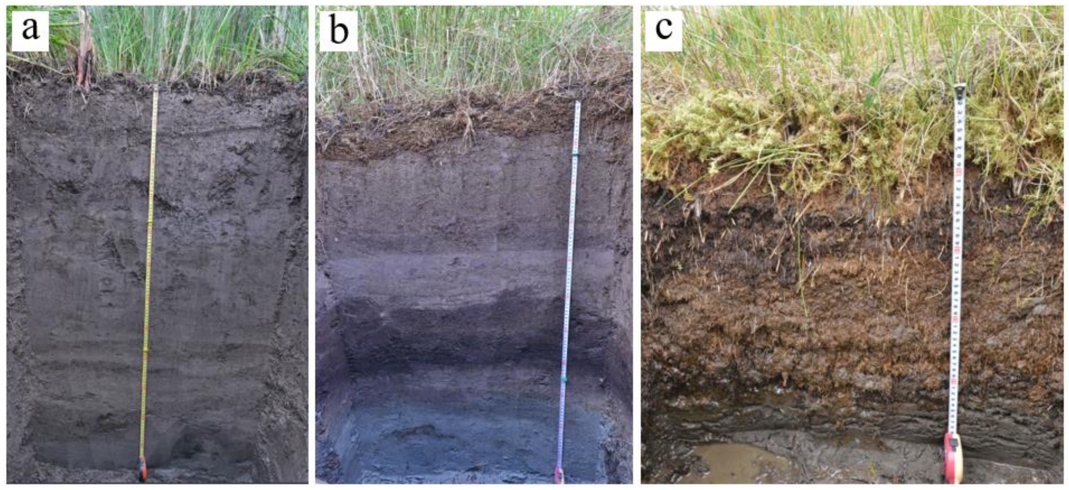 Plants 09 00867 g0a2