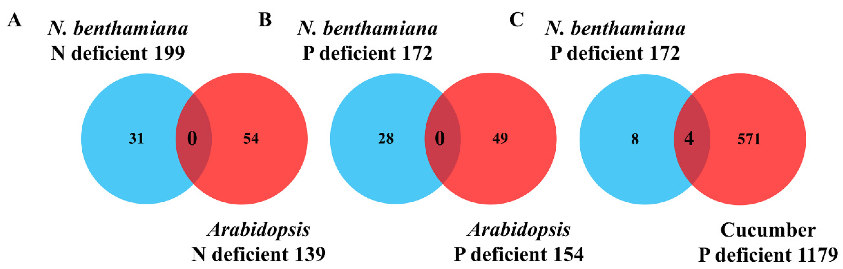 Plants 09 00876 g002