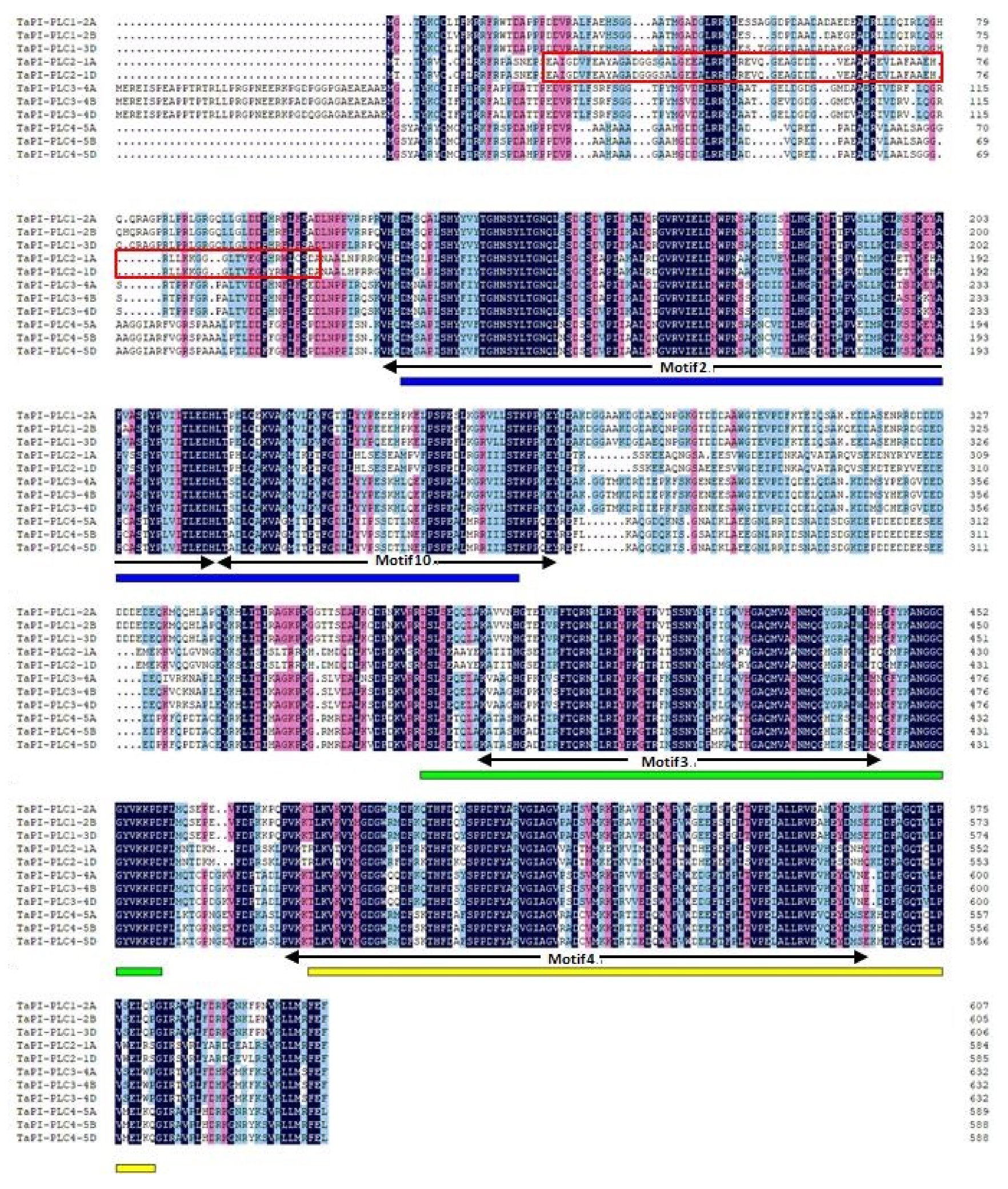 Plants 09 00885 g003