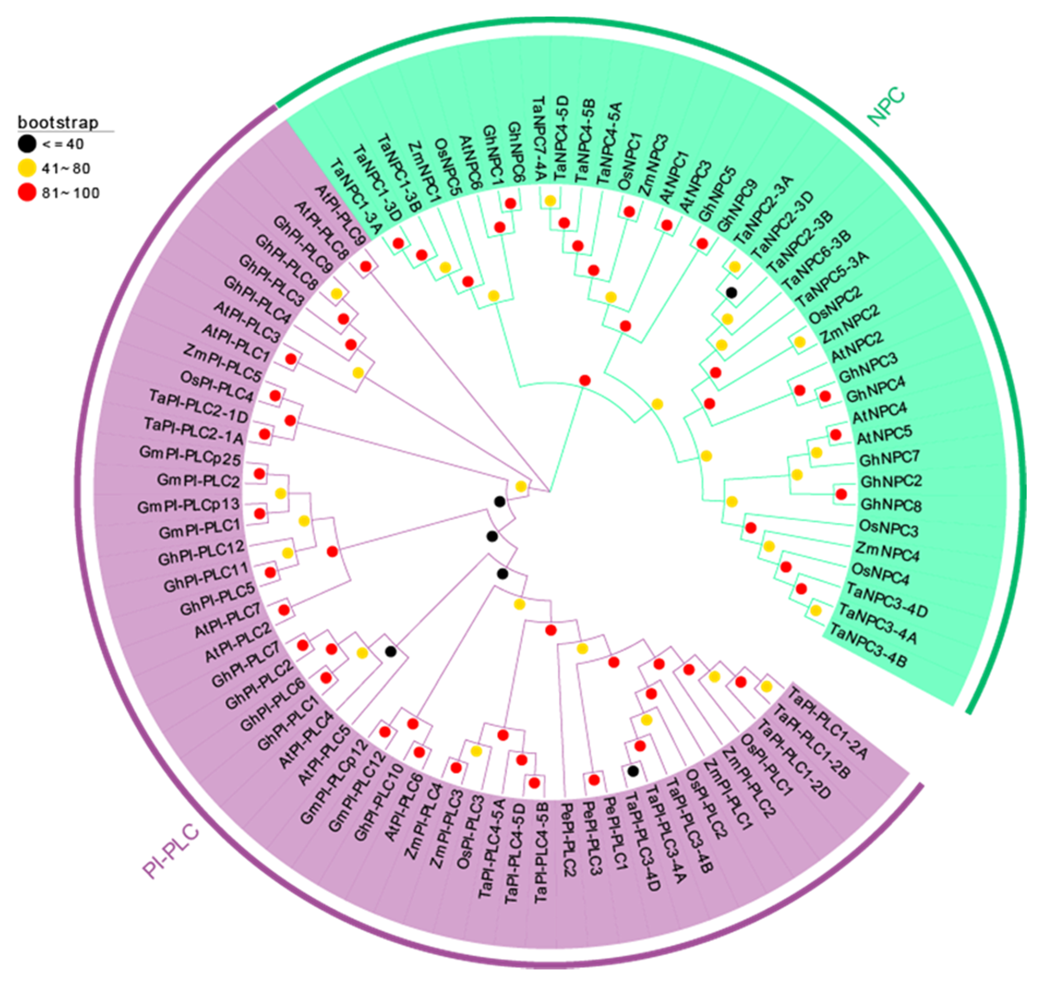 Plants 09 00885 g004