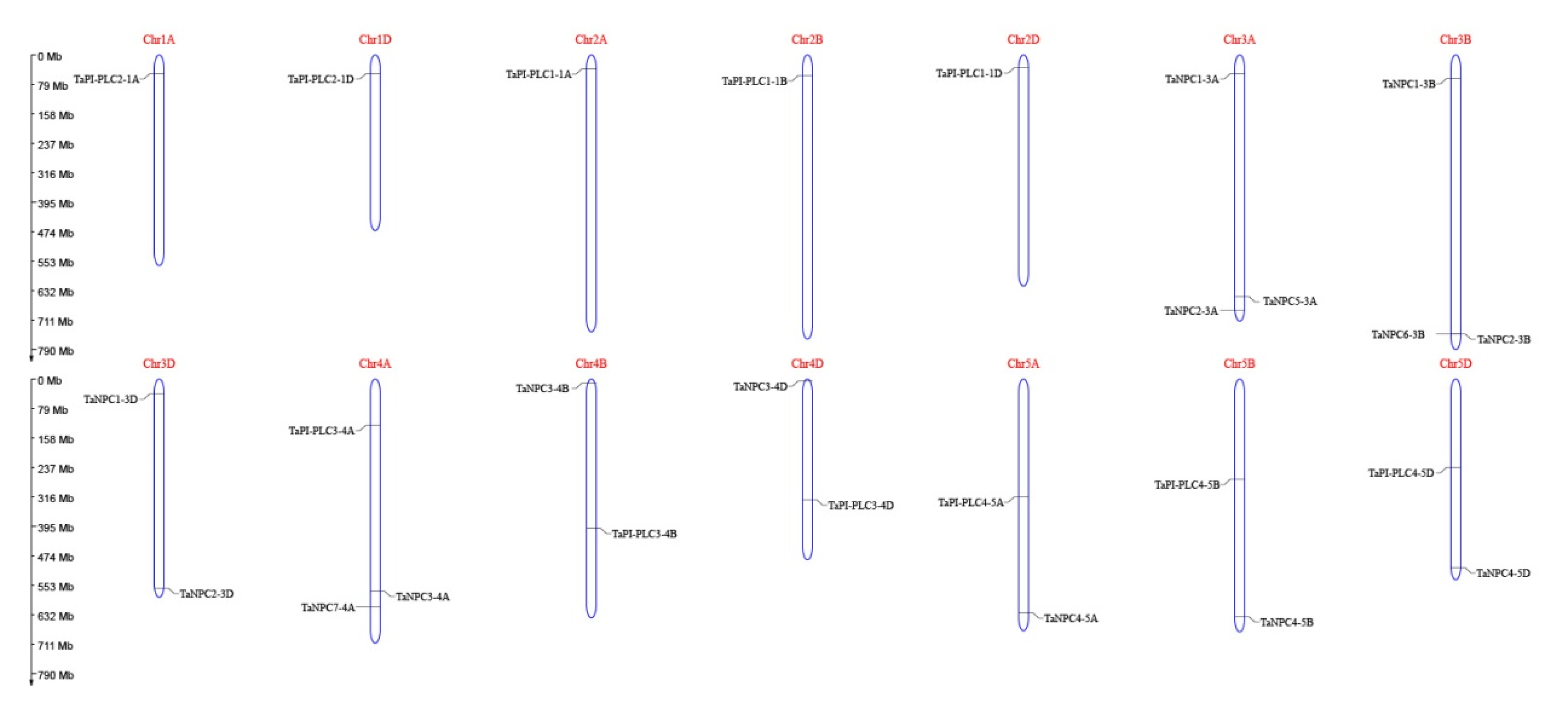 Plants 09 00885 g005