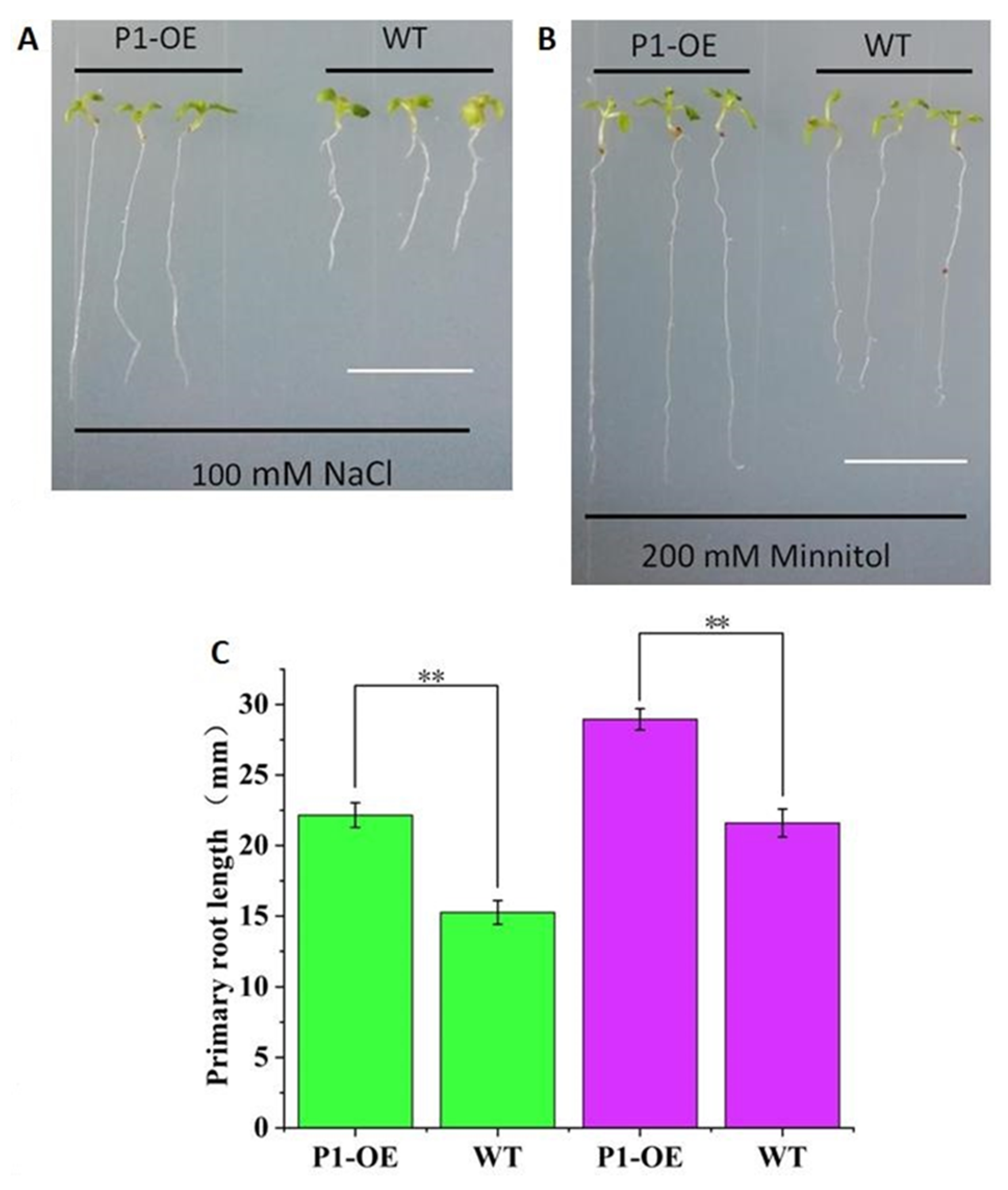 Plants 09 00885 g013