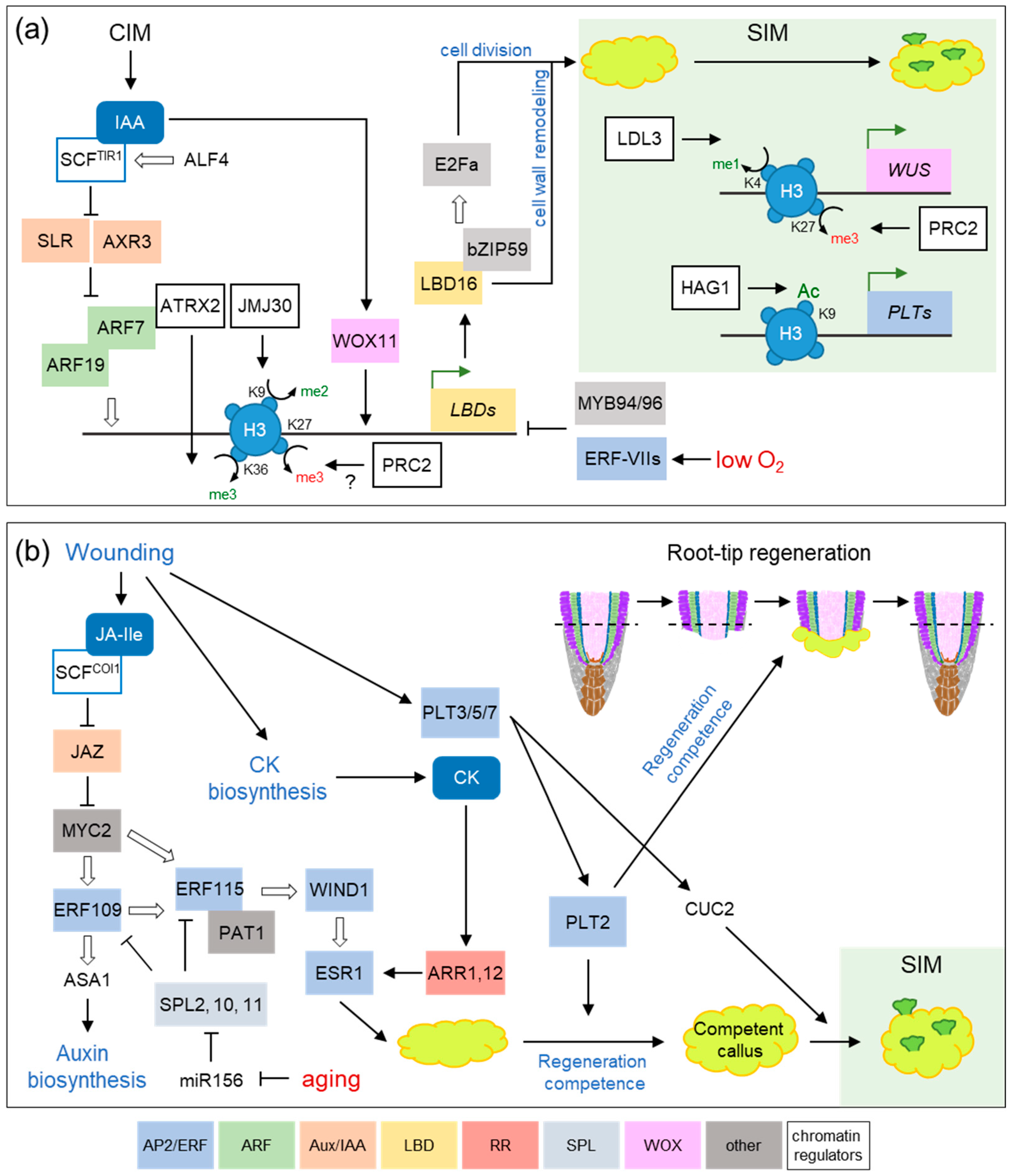 Plants 09 00897 g001 Plants 09 00897 g001