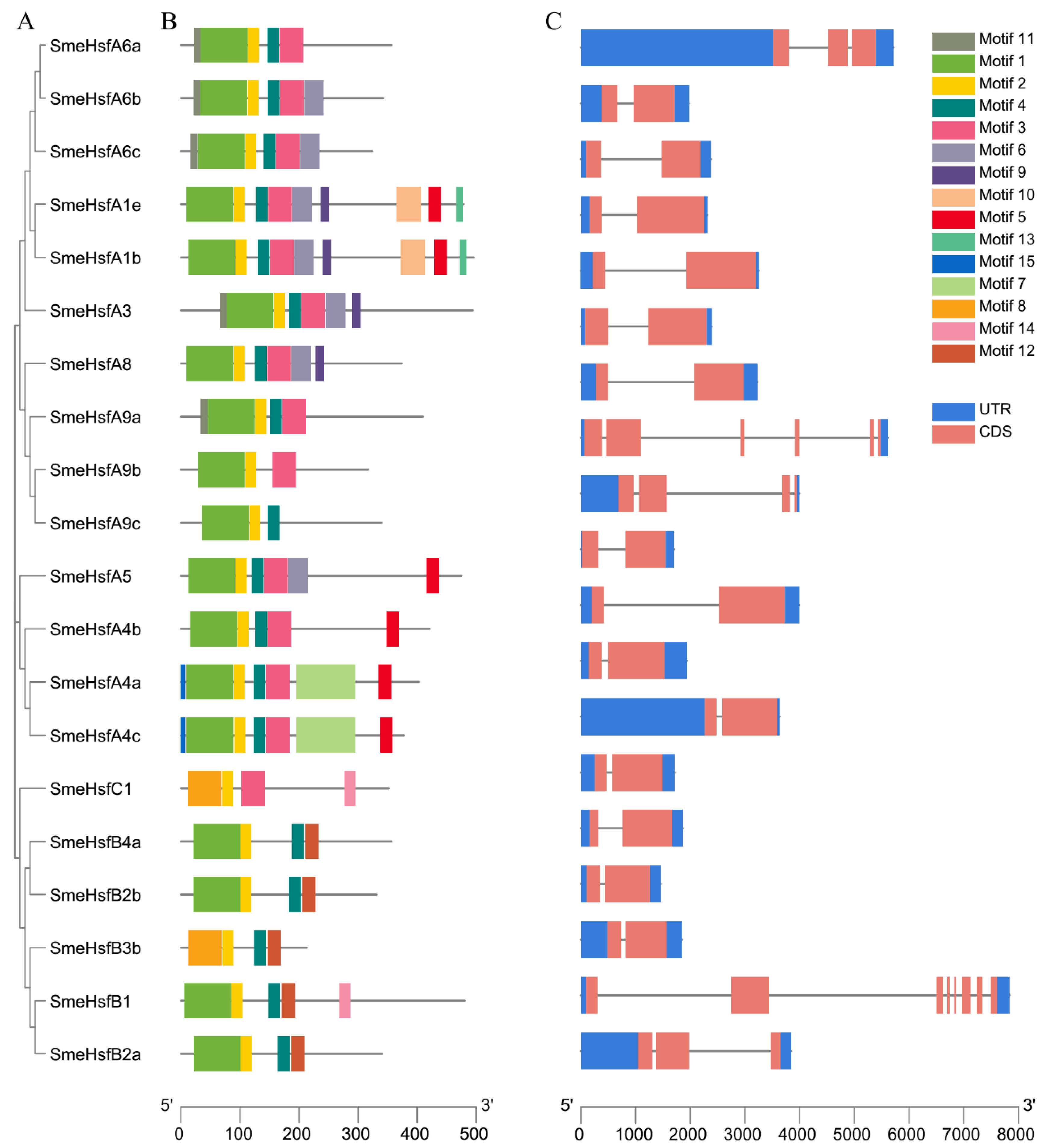 Plants 09 00915 g002 Plants 09 00915 g002