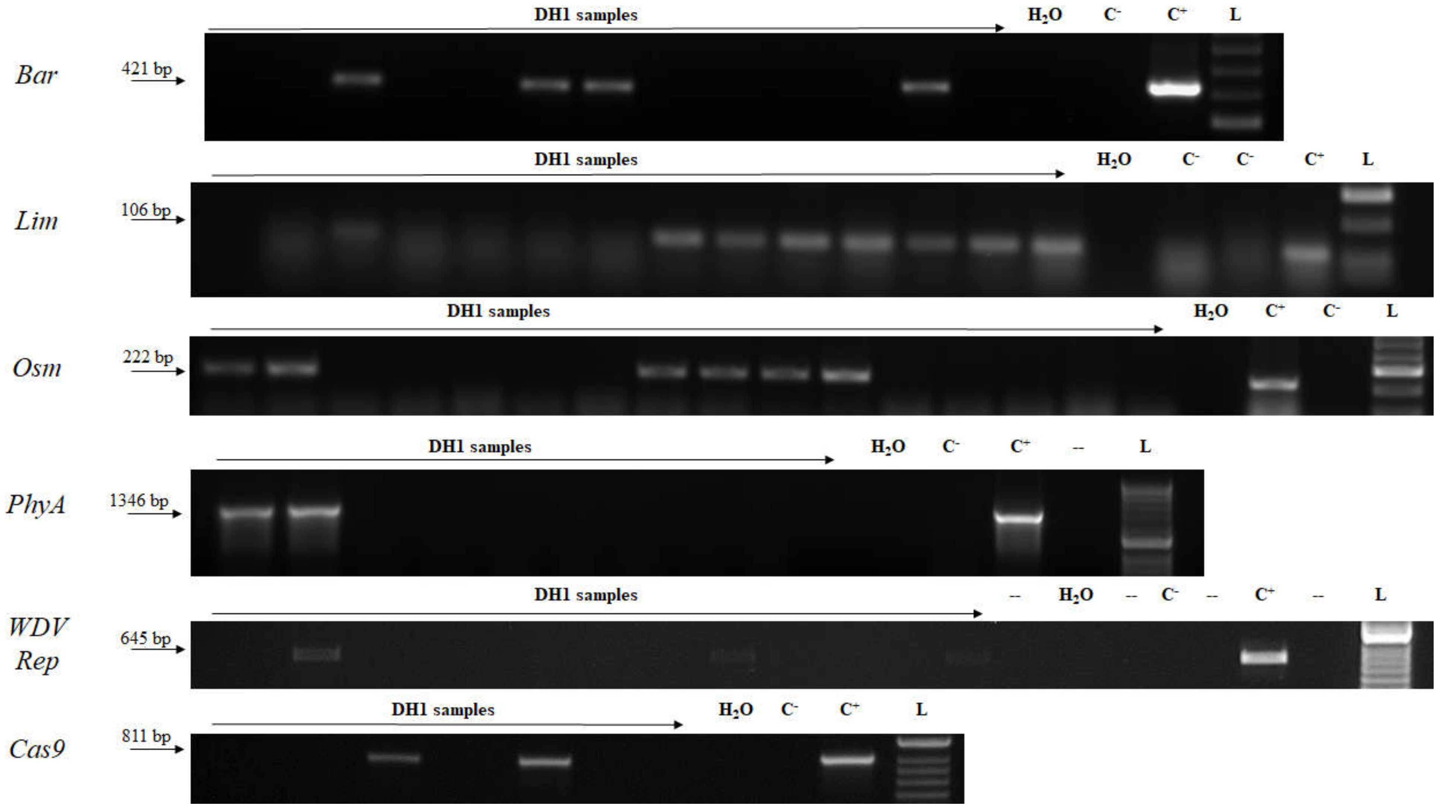 Plants 09 00918 g003 Plants 09 00918 g003