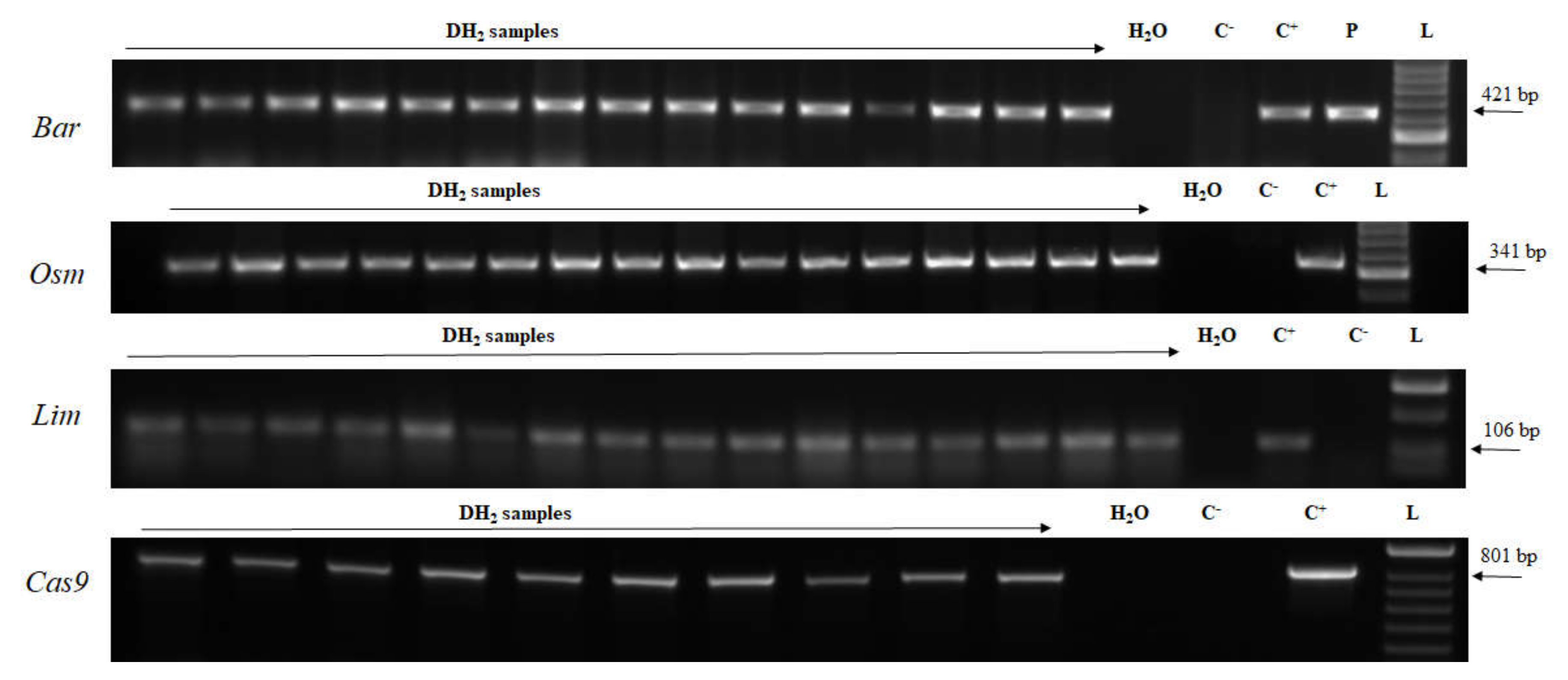 Plants 09 00918 g006 Plants 09 00918 g006