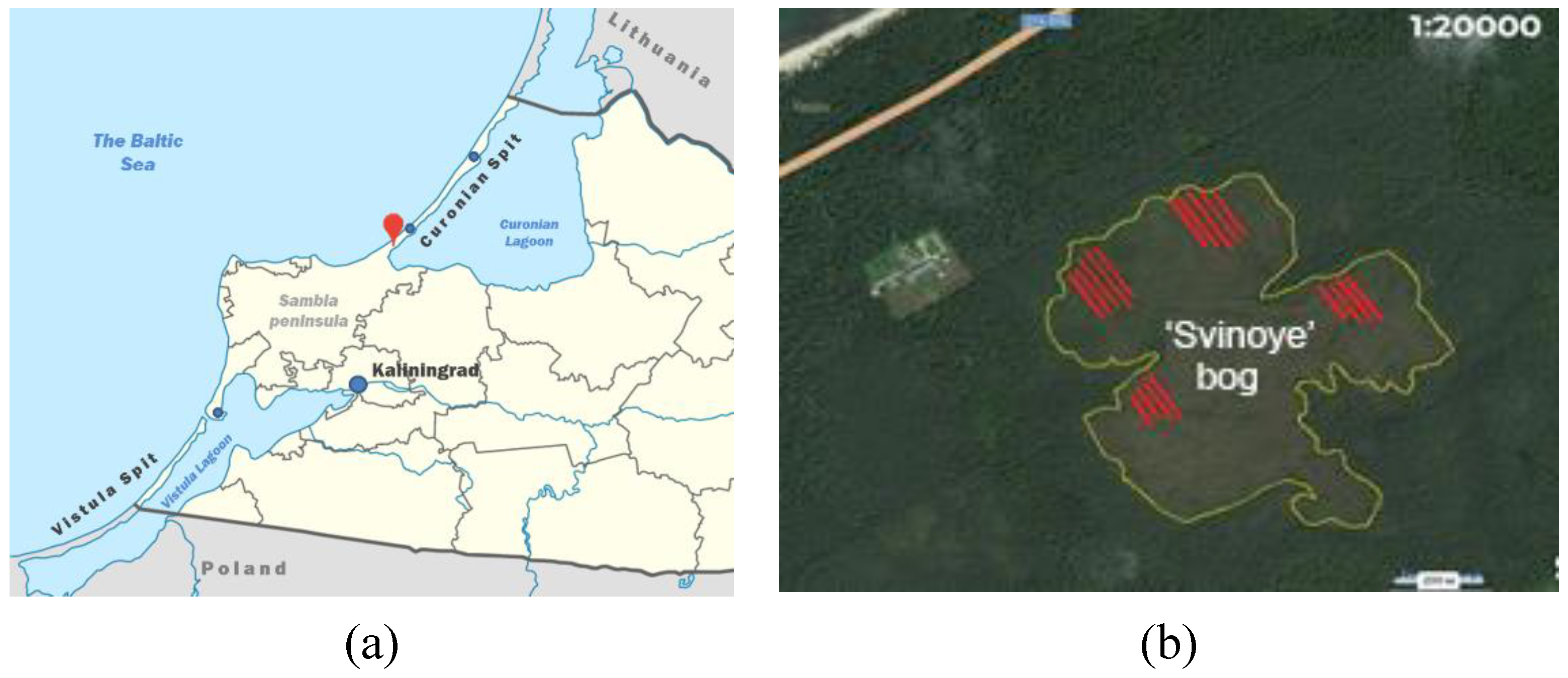 Plants 09 00926 g004