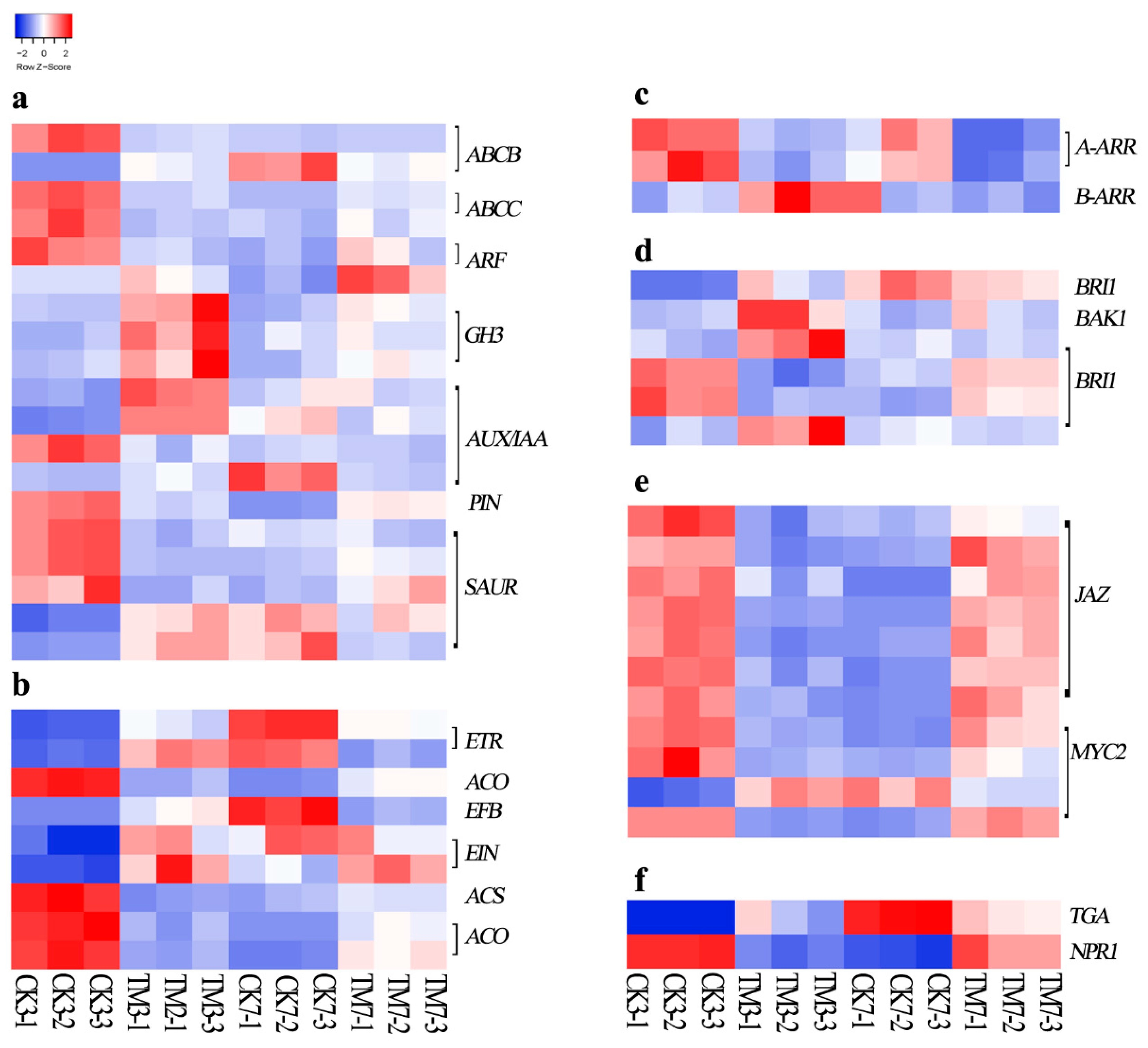 Plants 09 00931 g003