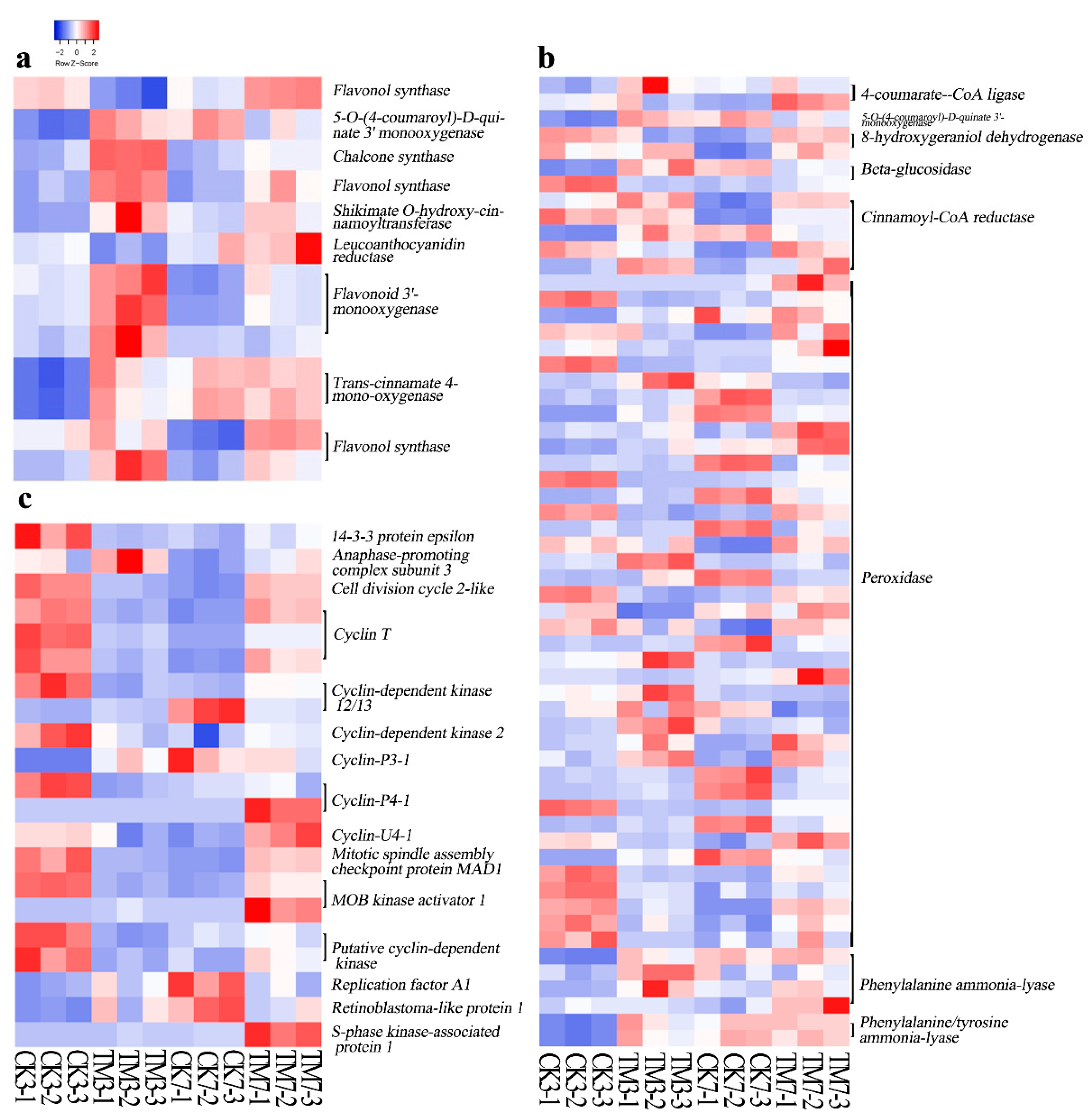 Plants 09 00931 g004