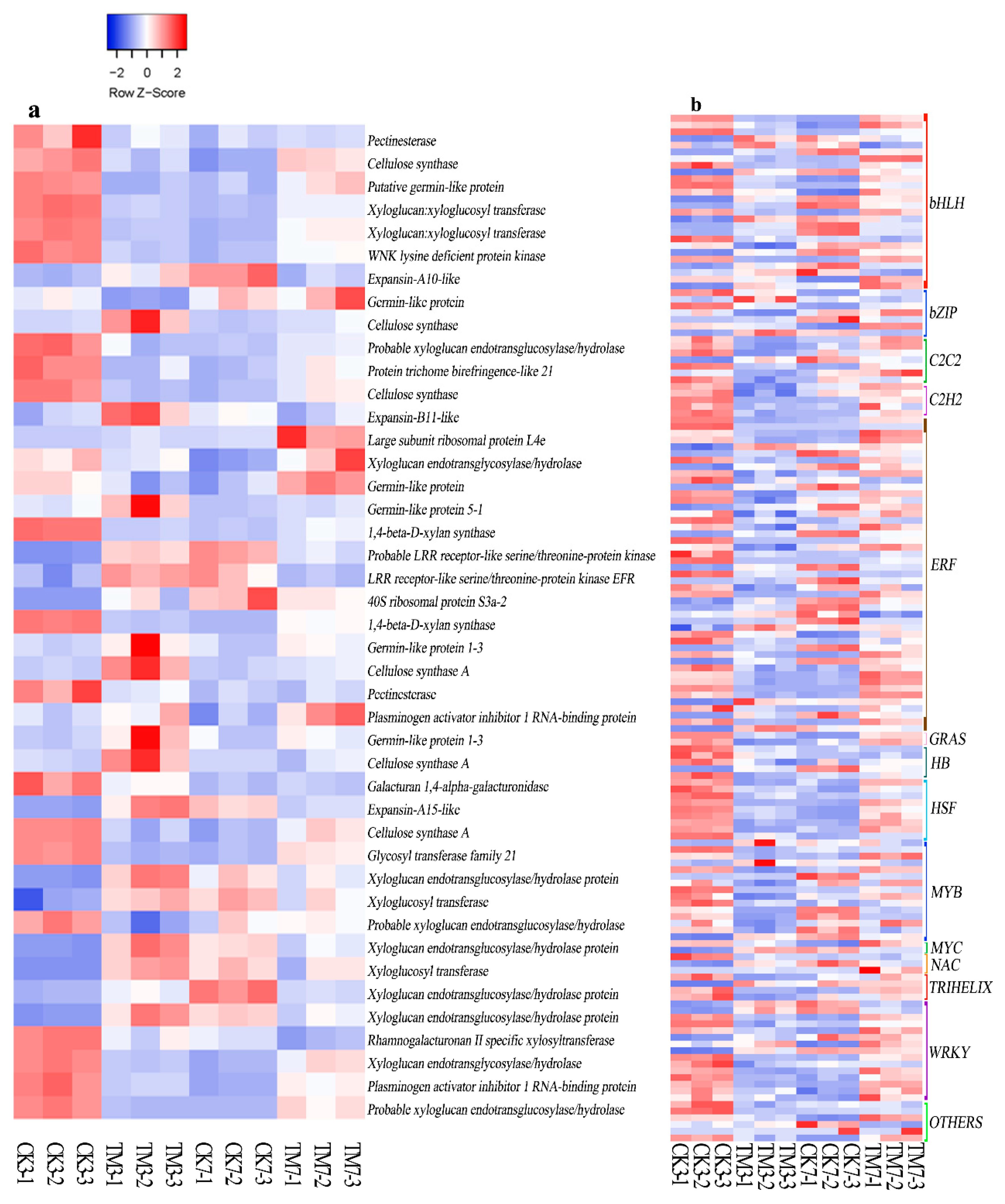 Plants 09 00931 g005