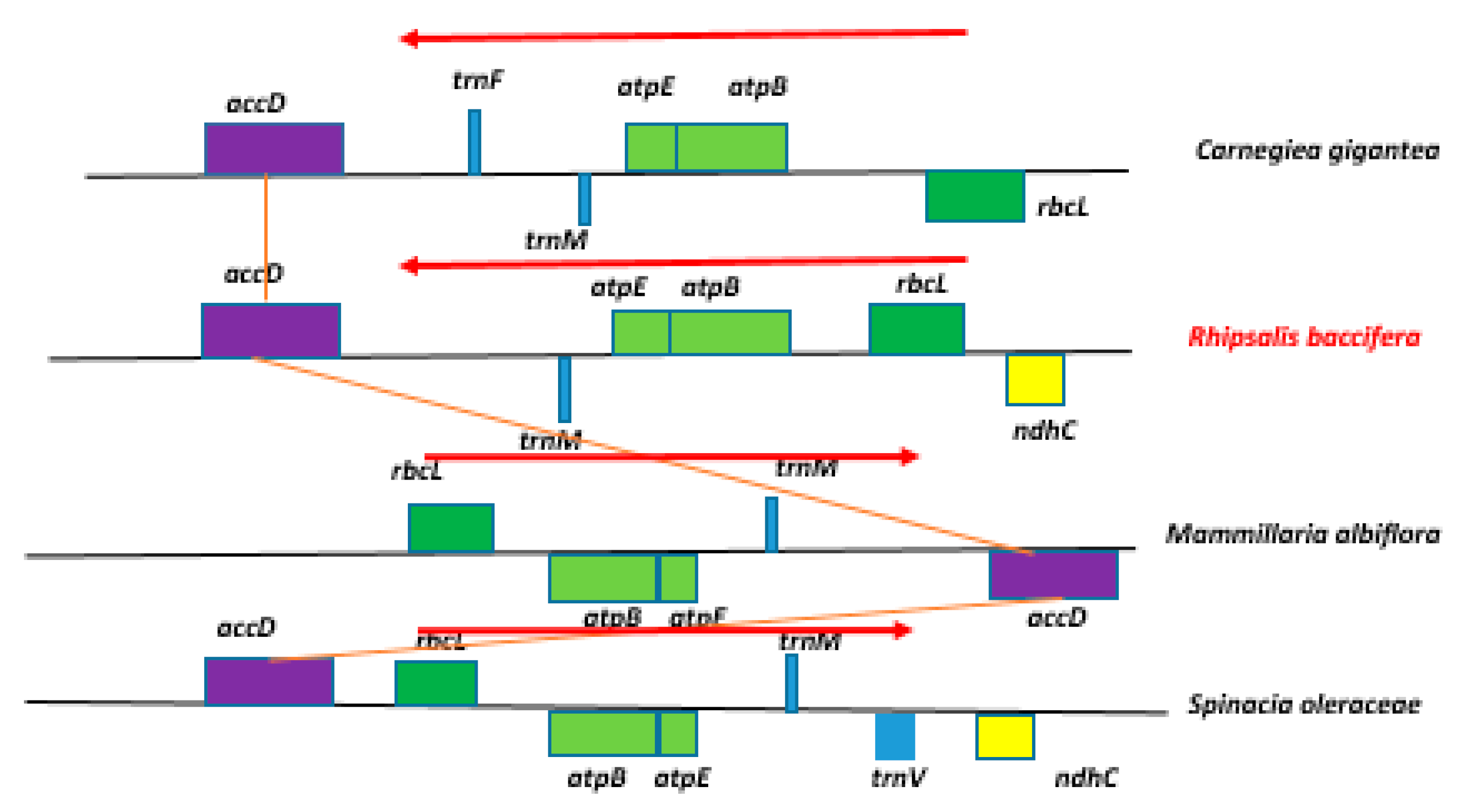 Plants 09 00979 g002