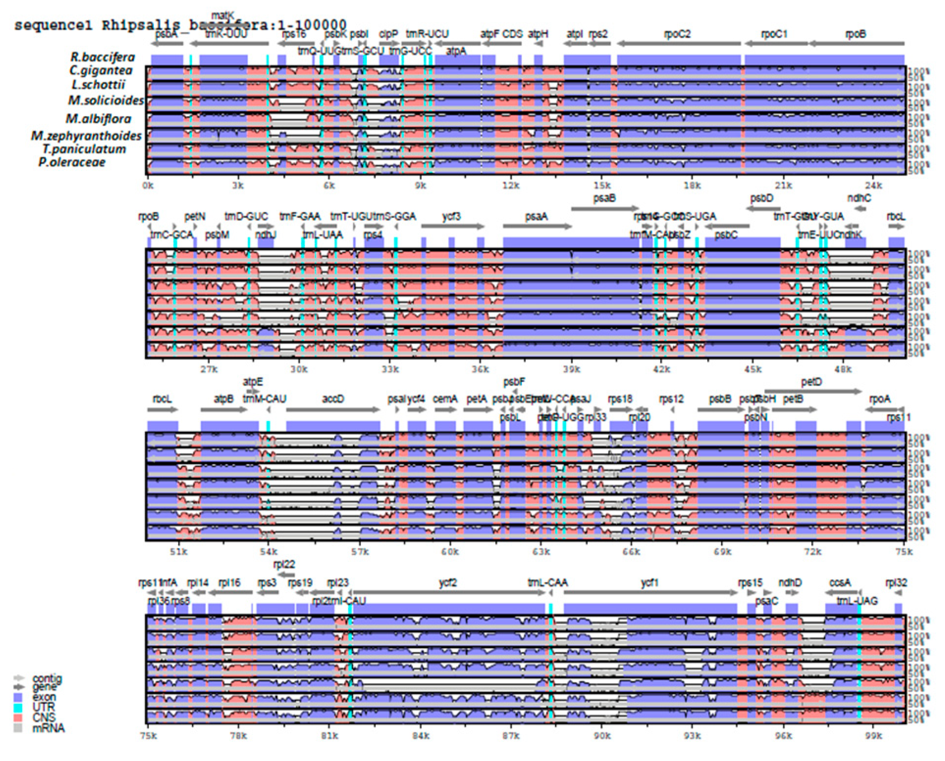 Plants 09 00979 g008