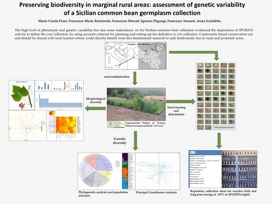 Plants Free Full Text Preserving Biodiversity In Marginal Rural Areas Assessment Of Morphological And Genetic Variability Of A Sicilian Common Bean Germplasm Collection Html