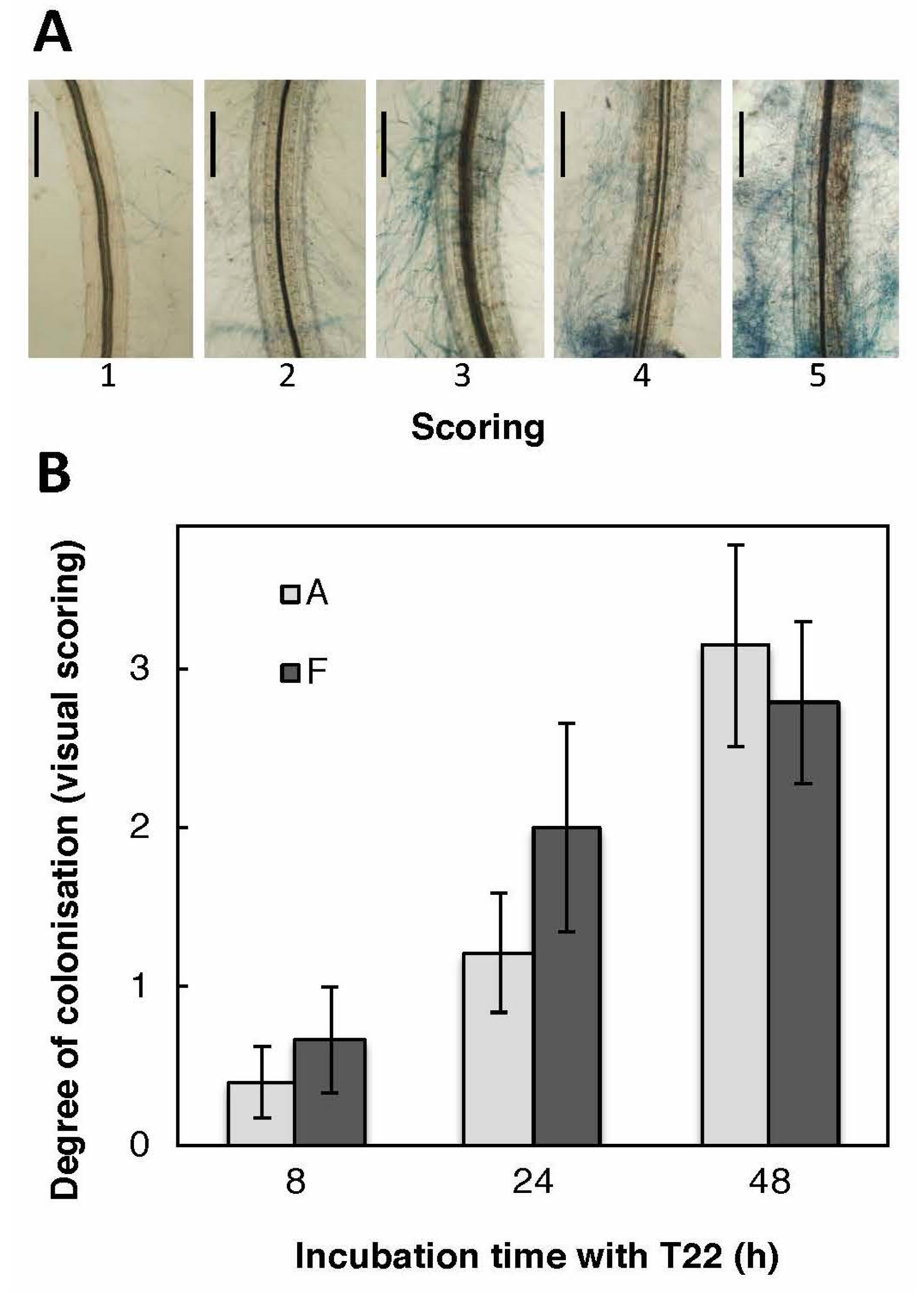 Plants 09 01005 g004