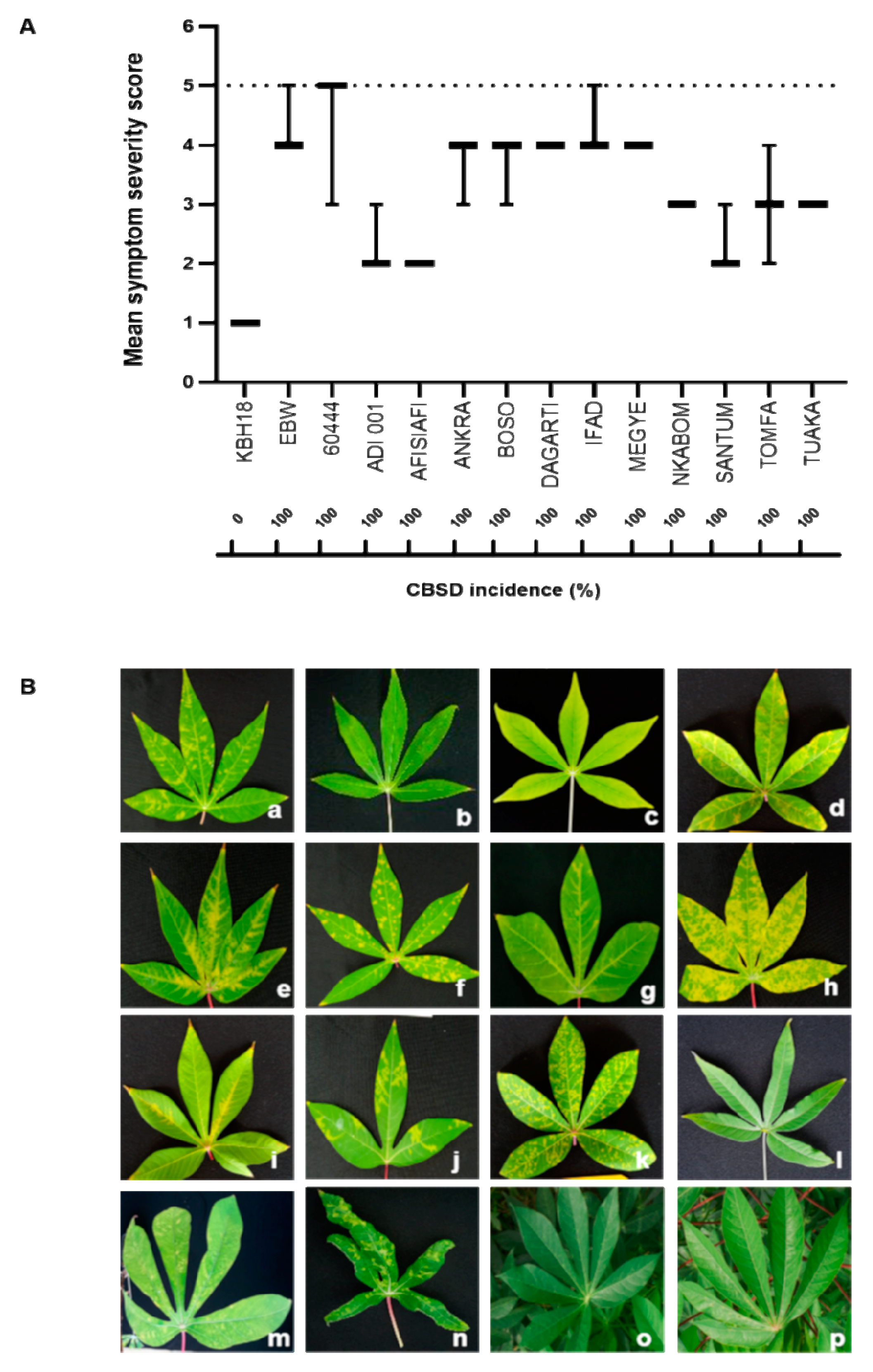 Plants 09 01026 g001 Plants 09 01026 g001