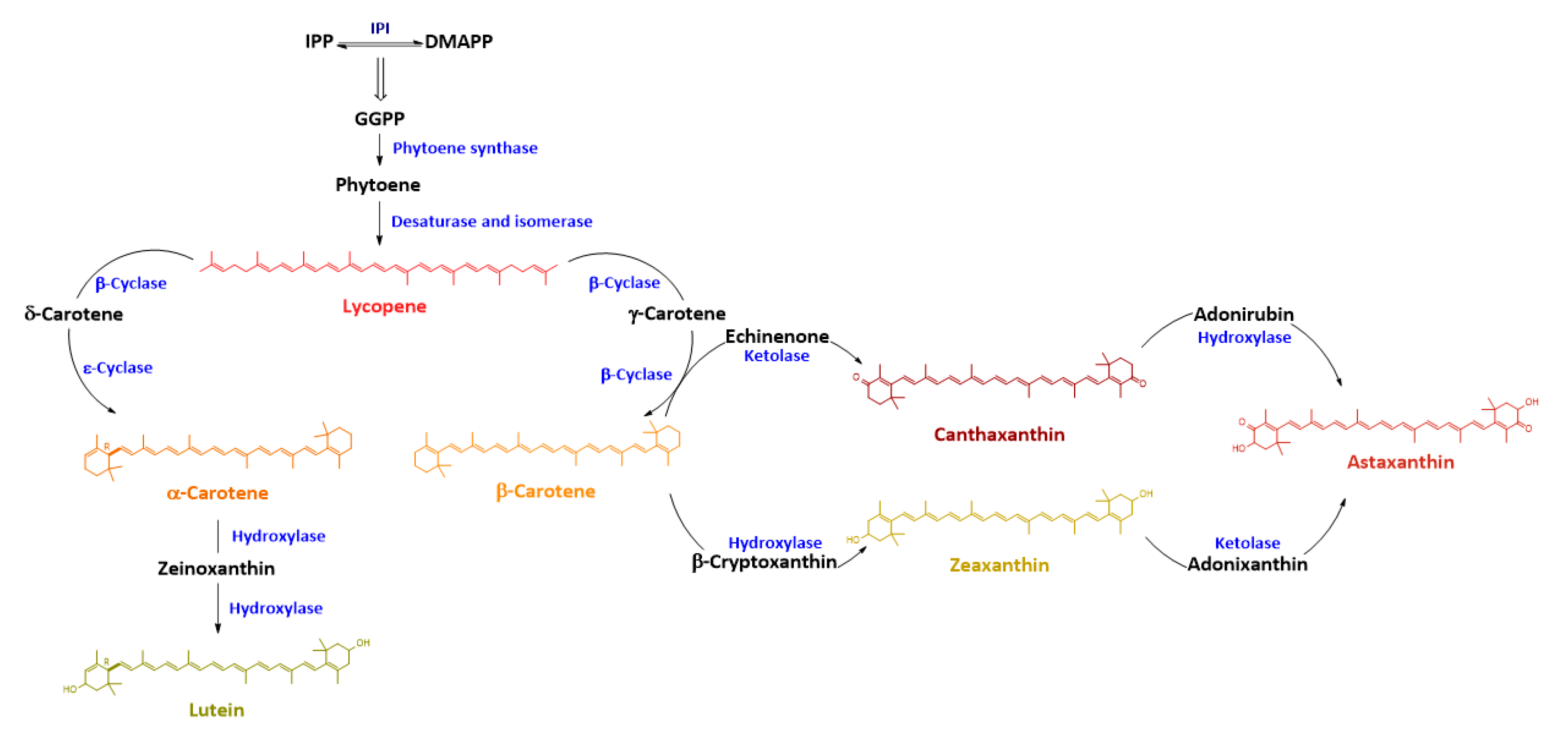 Plants 09 01039 g001 Plants 09 01039 g001