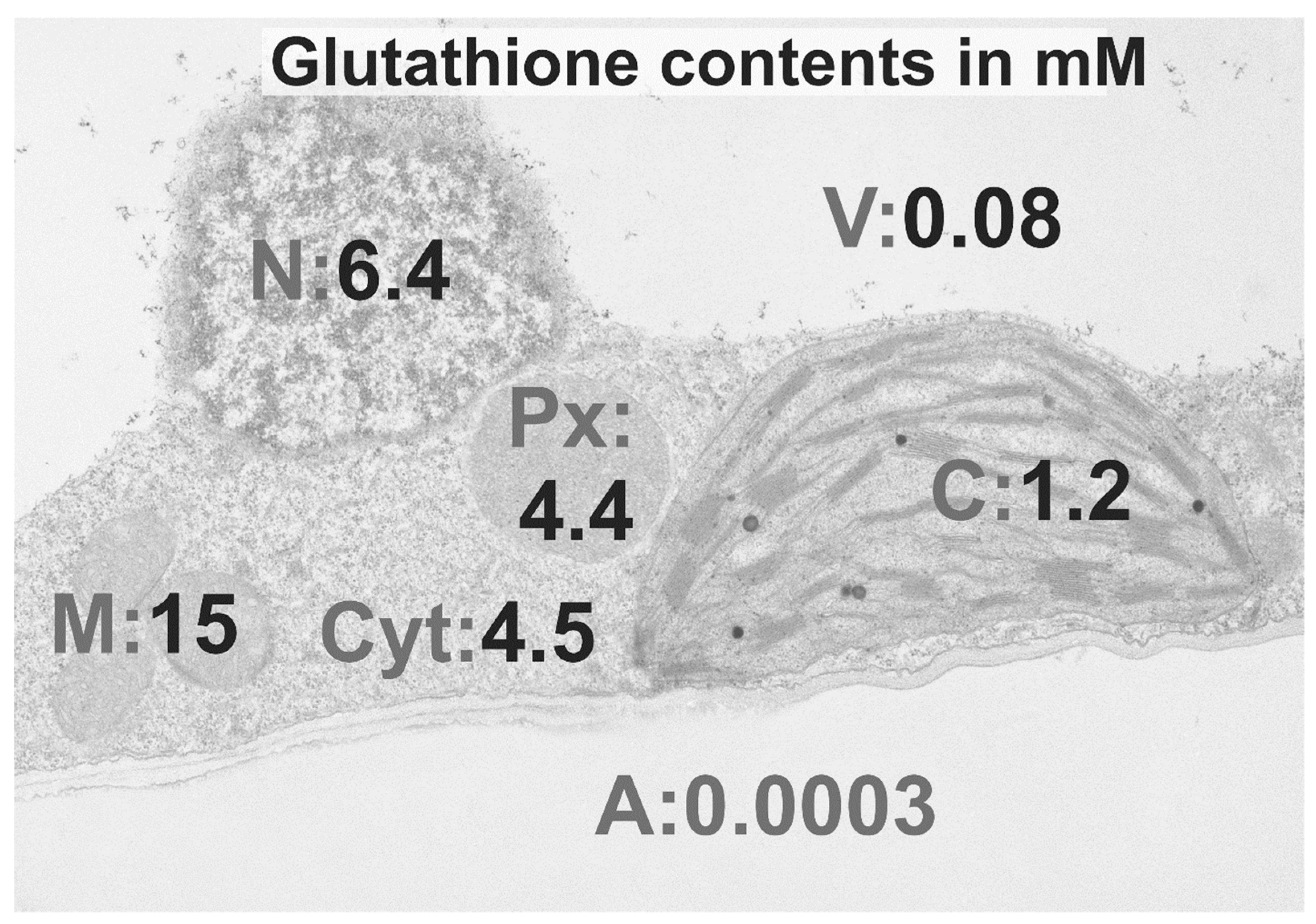 Plants 09 01067 g002