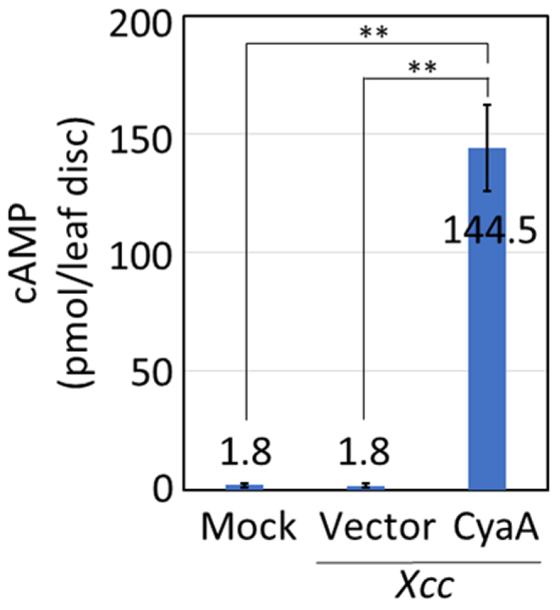 Plants 09 01070 g001 Plants 09 01070 g001