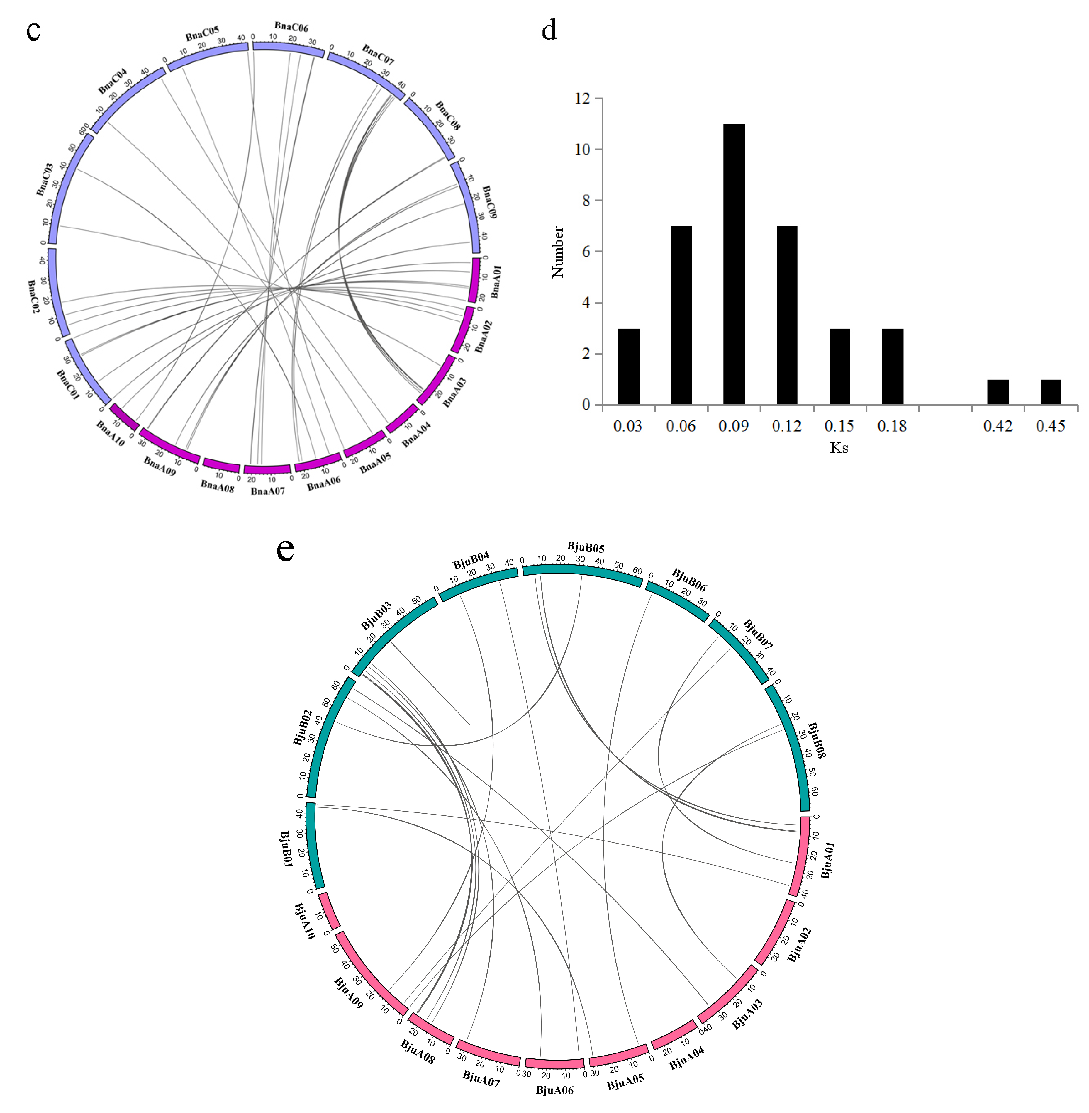 Commissie Jeugd Verstelbaar Plants | Free Full-Text | A Genome-Wide Survey of MATE Transporters in  Brassicaceae and Unveiling Their Expression Profiles under Abiotic Stress  in Rapeseed | HTML