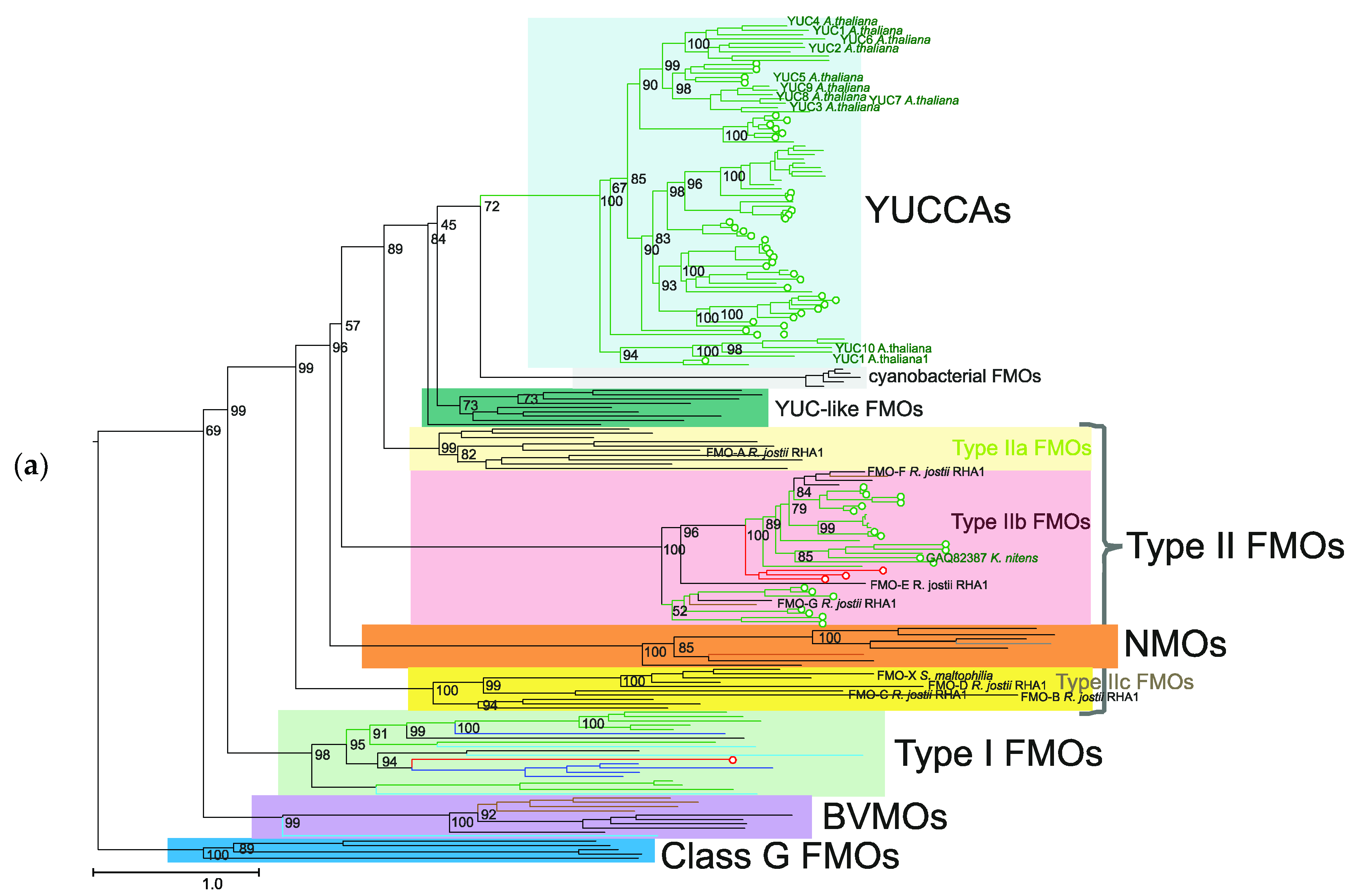 Plants 09 01092 g004a