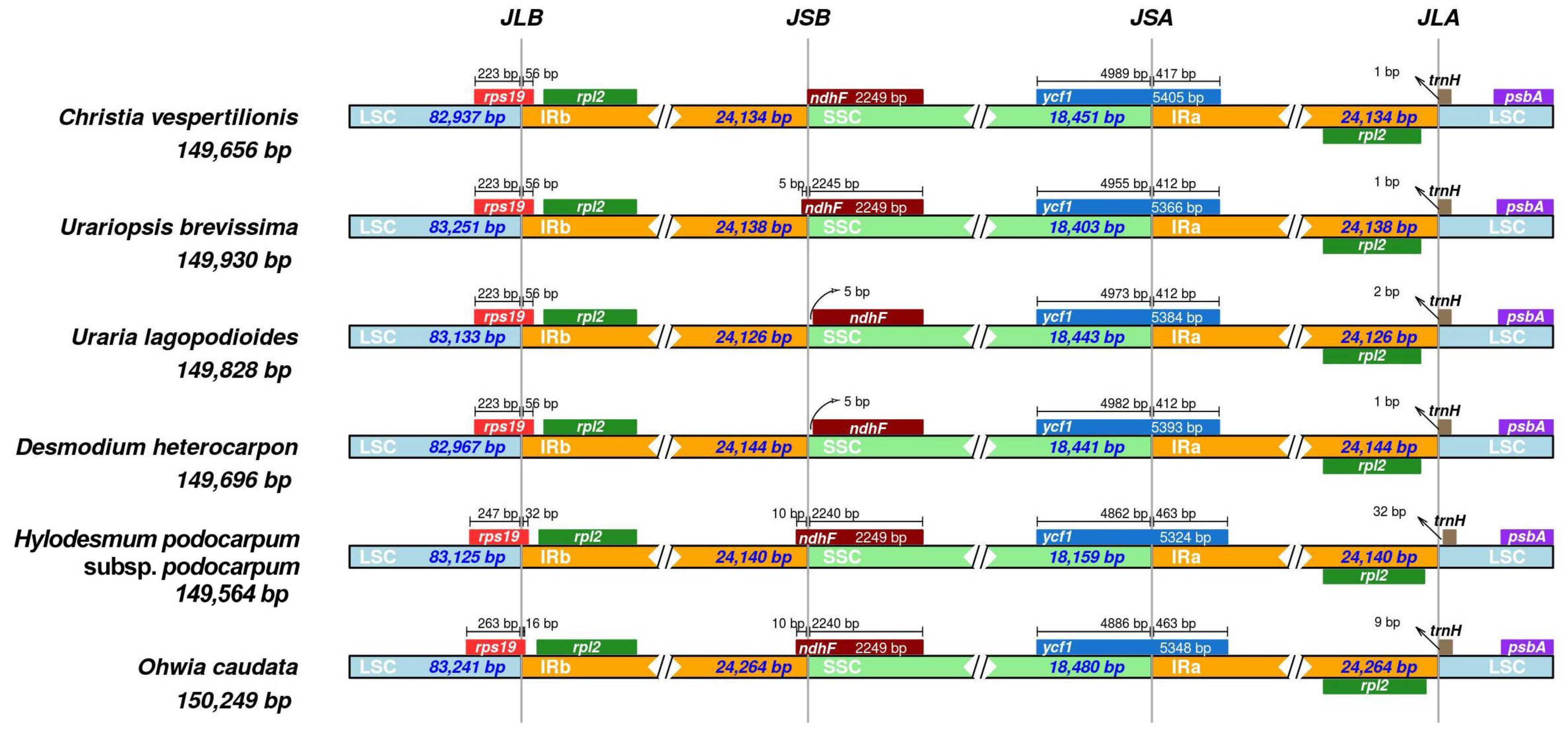 Plants 09 01116 g002 Plants 09 01116 g002