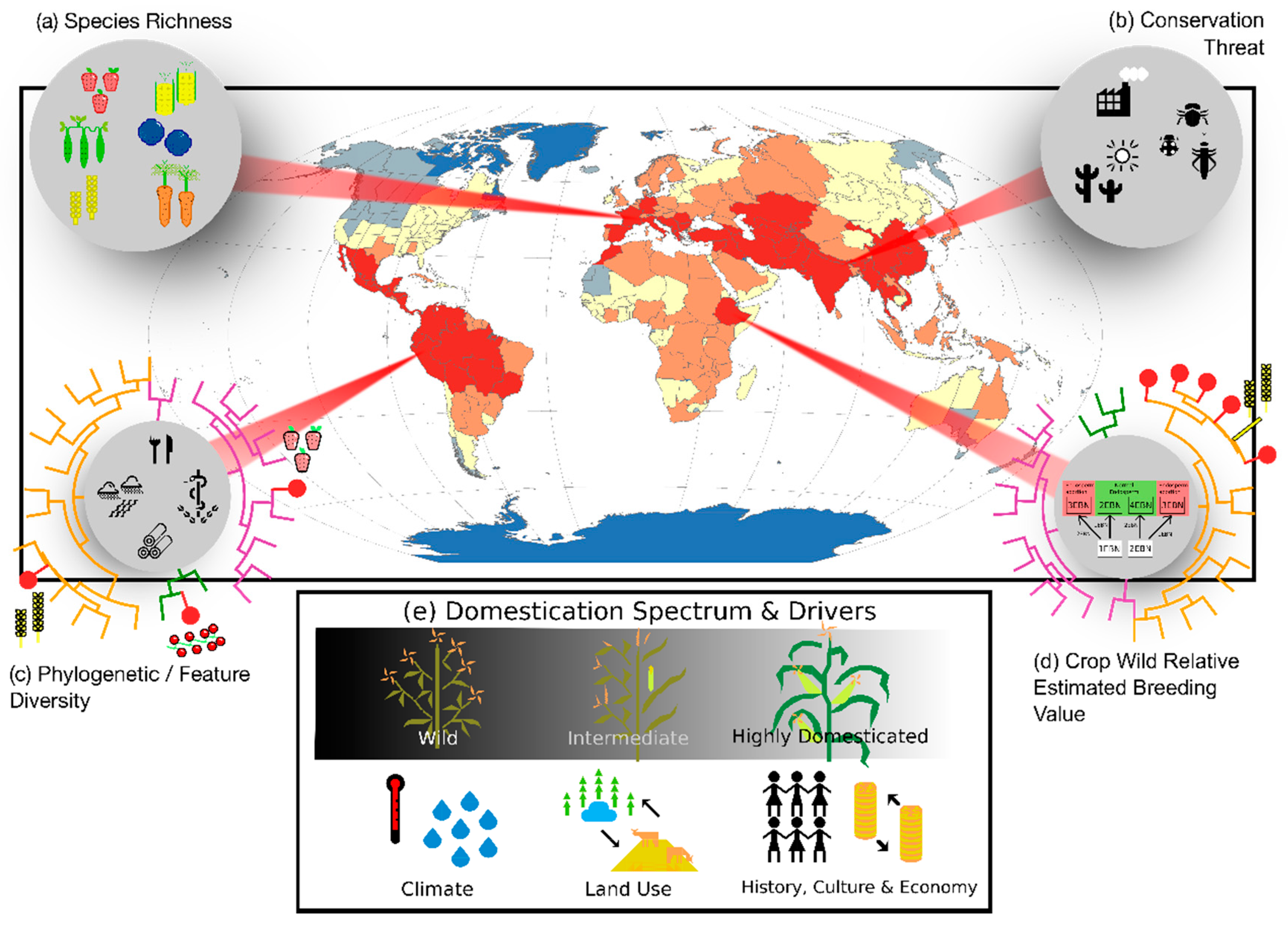 Plants Free Full Text Toward Unifying Global Hotspots Of Wild And Domesticated Biodiversity Html
