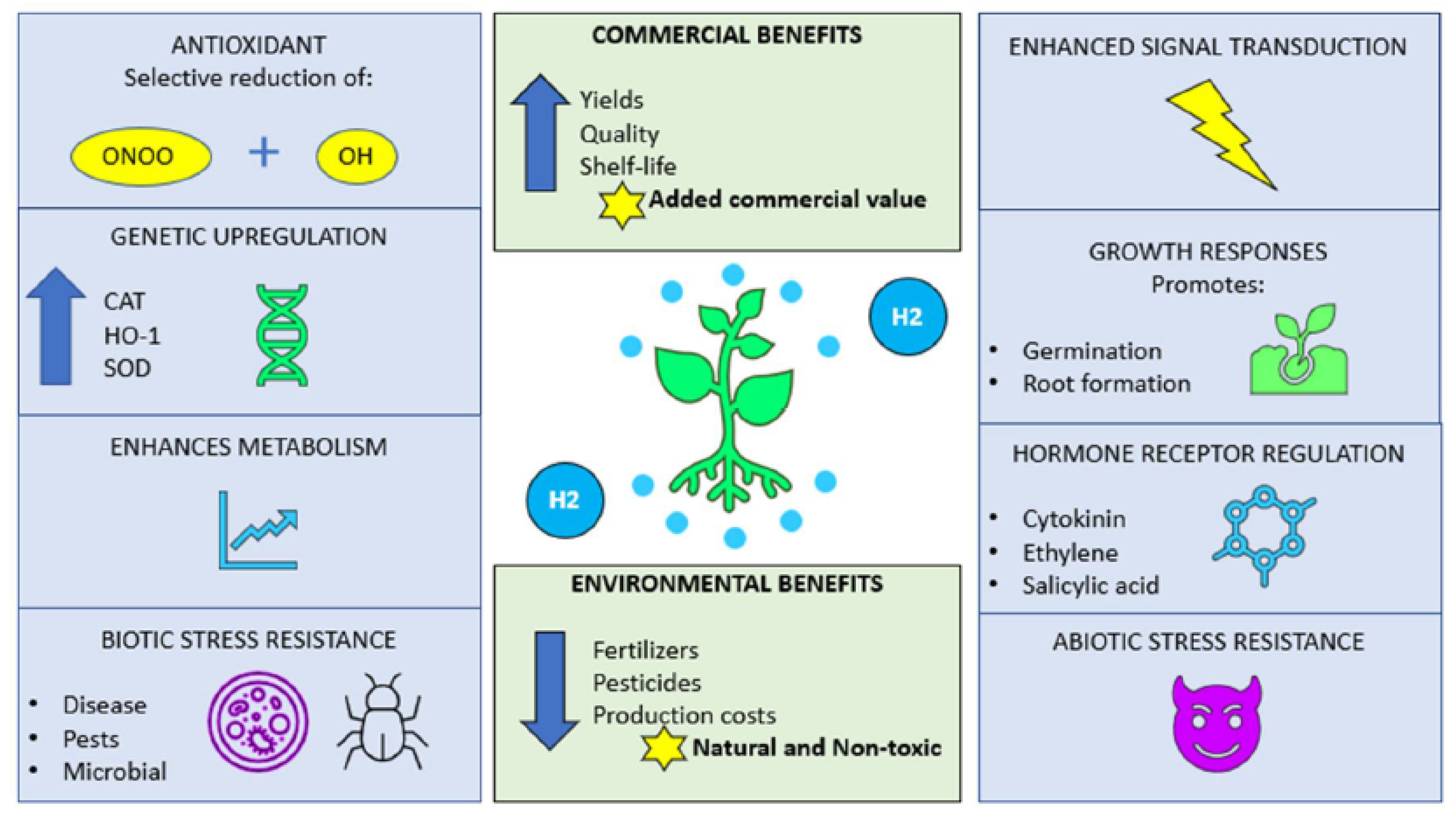 Plants 09 01136 g002 Plants 09 01136 g002
