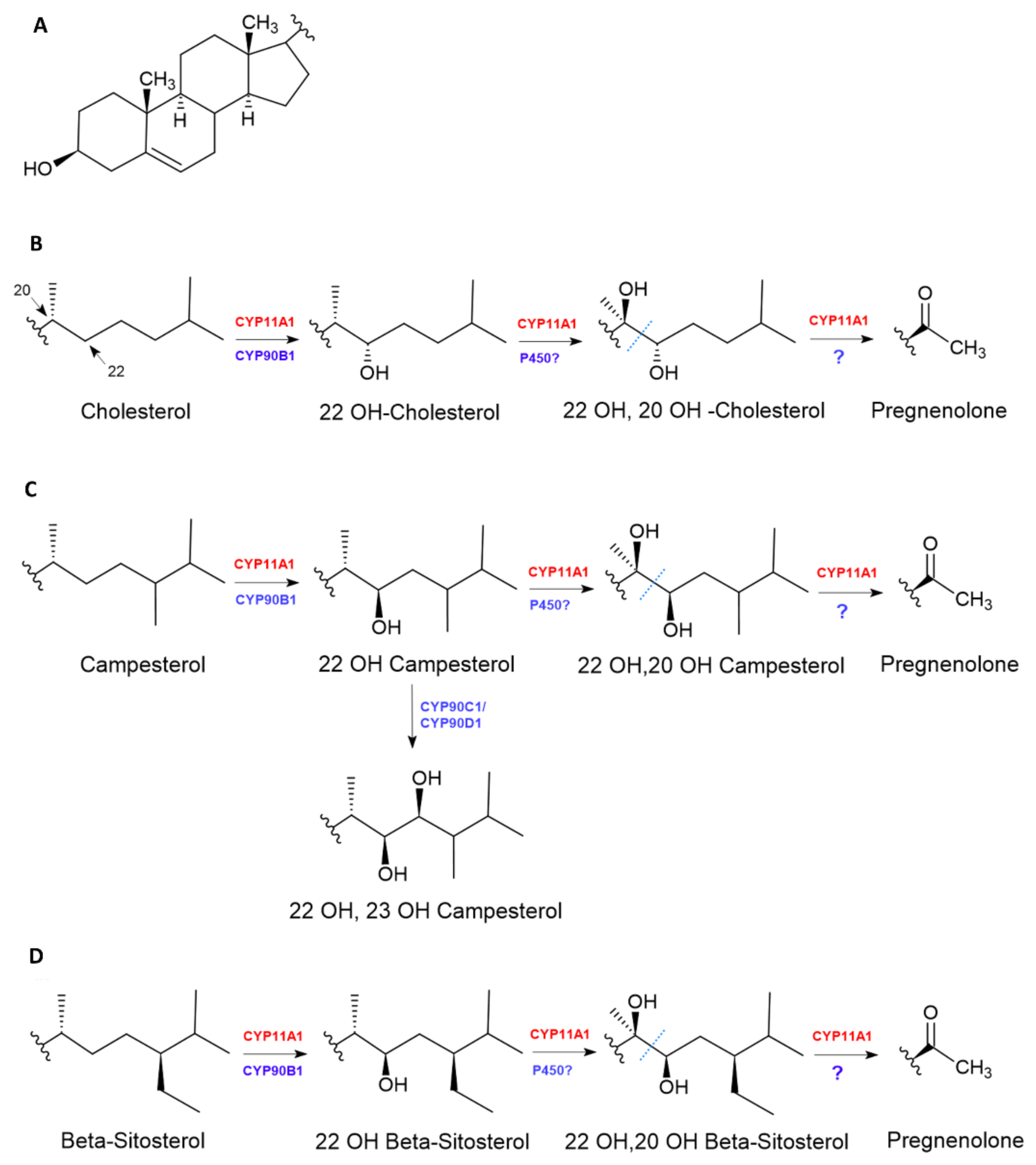 Plants 09 01144 g004 Plants 09 01144 g004