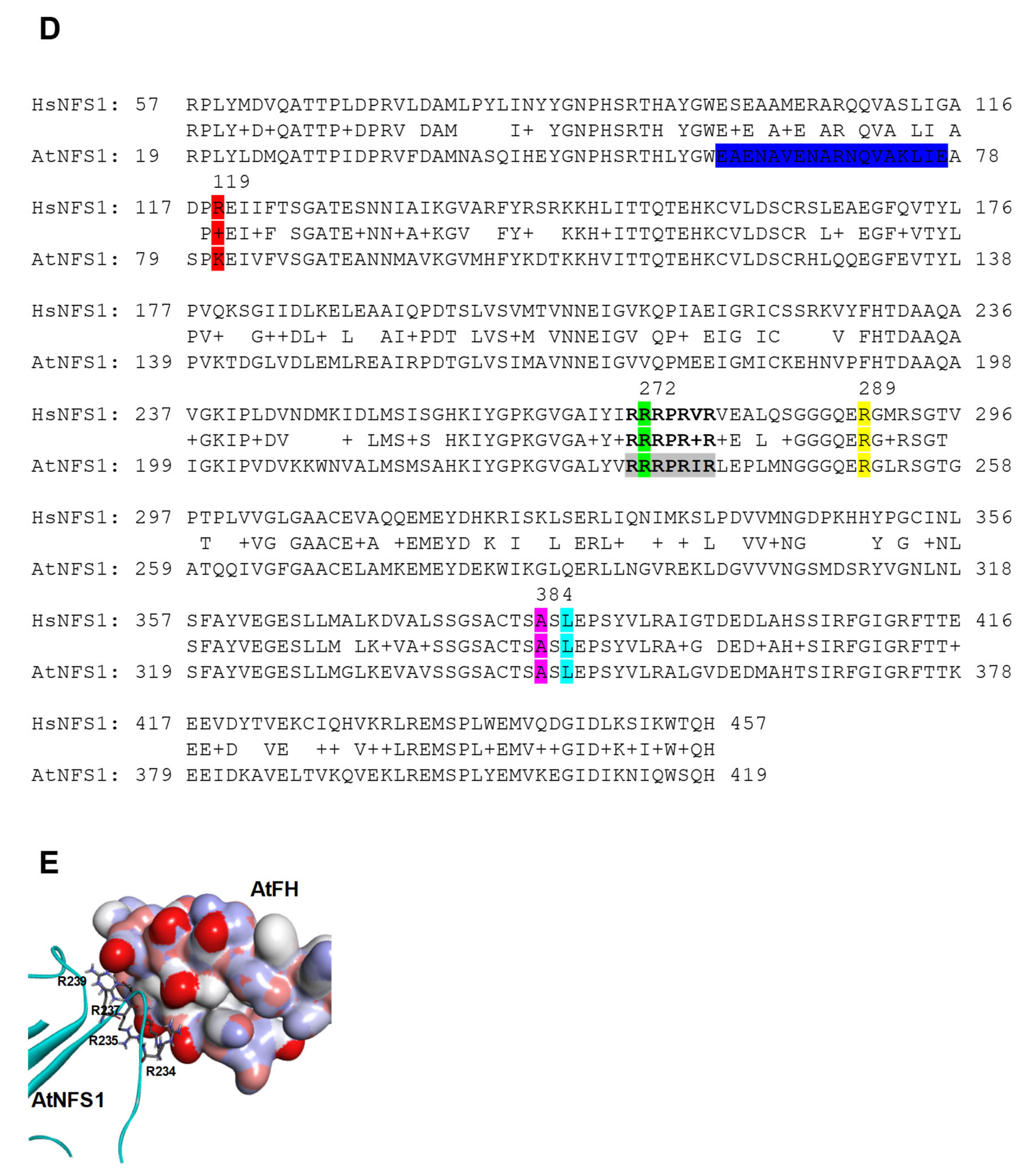 Plants Free Full Text Iron Sulfur Cluster Complex Assembly In The Mitochondria Of Arabidopsis Thaliana Html