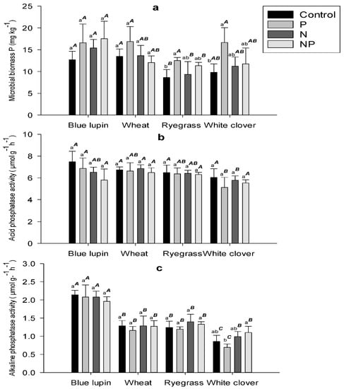 Plants Free Full Text Role Of Organic Anions And Phosphatase Enzymes In Phosphorus Acquisition In The Rhizospheres Of Legumes And Grasses Grown In A Low Phosphorus Pasture Soil Html