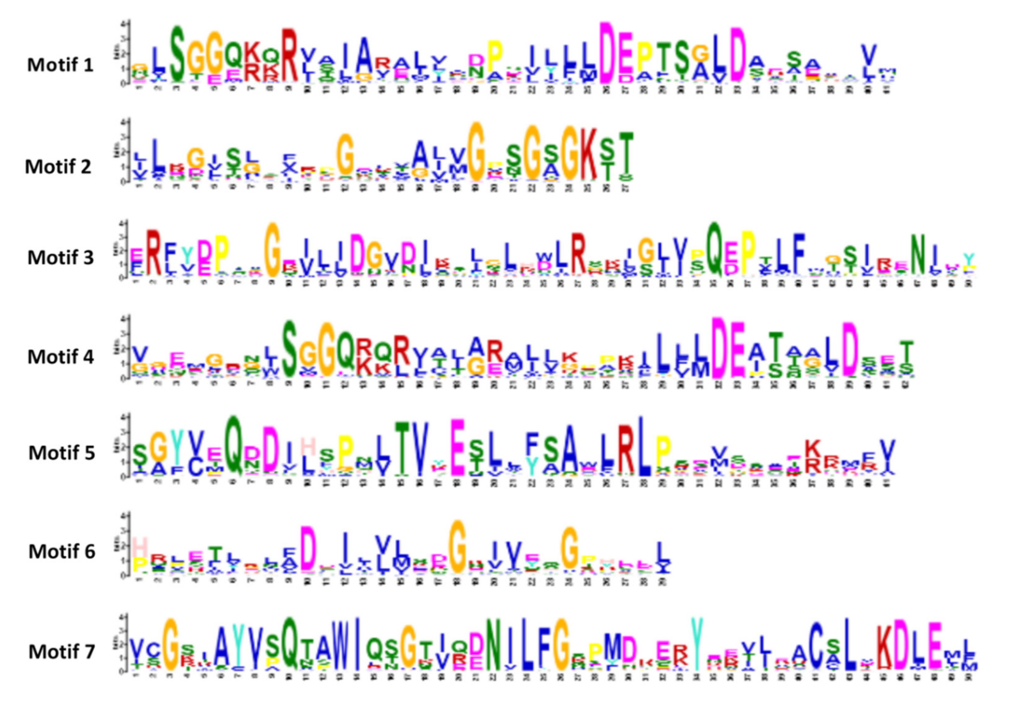 Plants 09 01281 g003