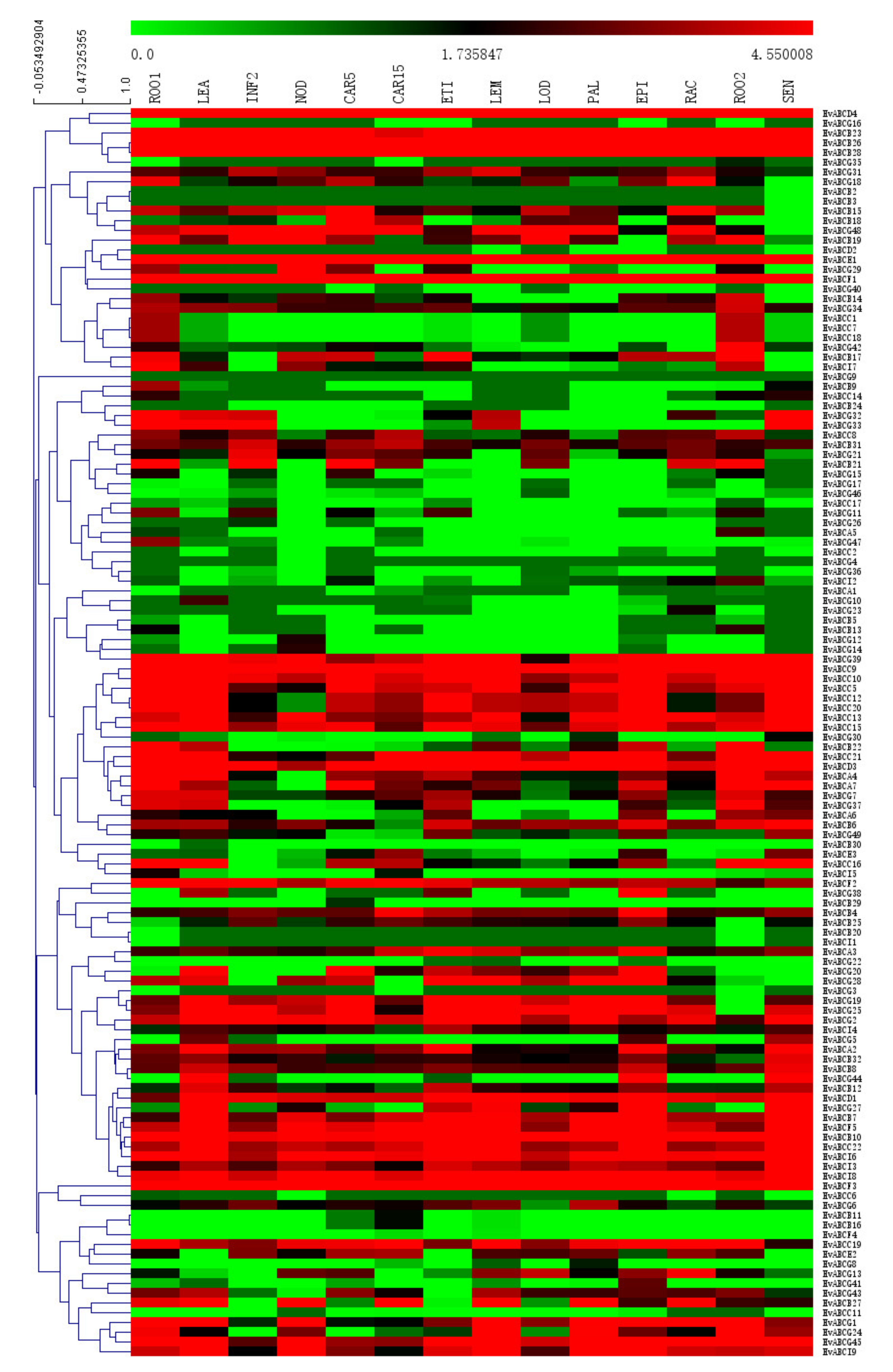 Plants 09 01281 g004