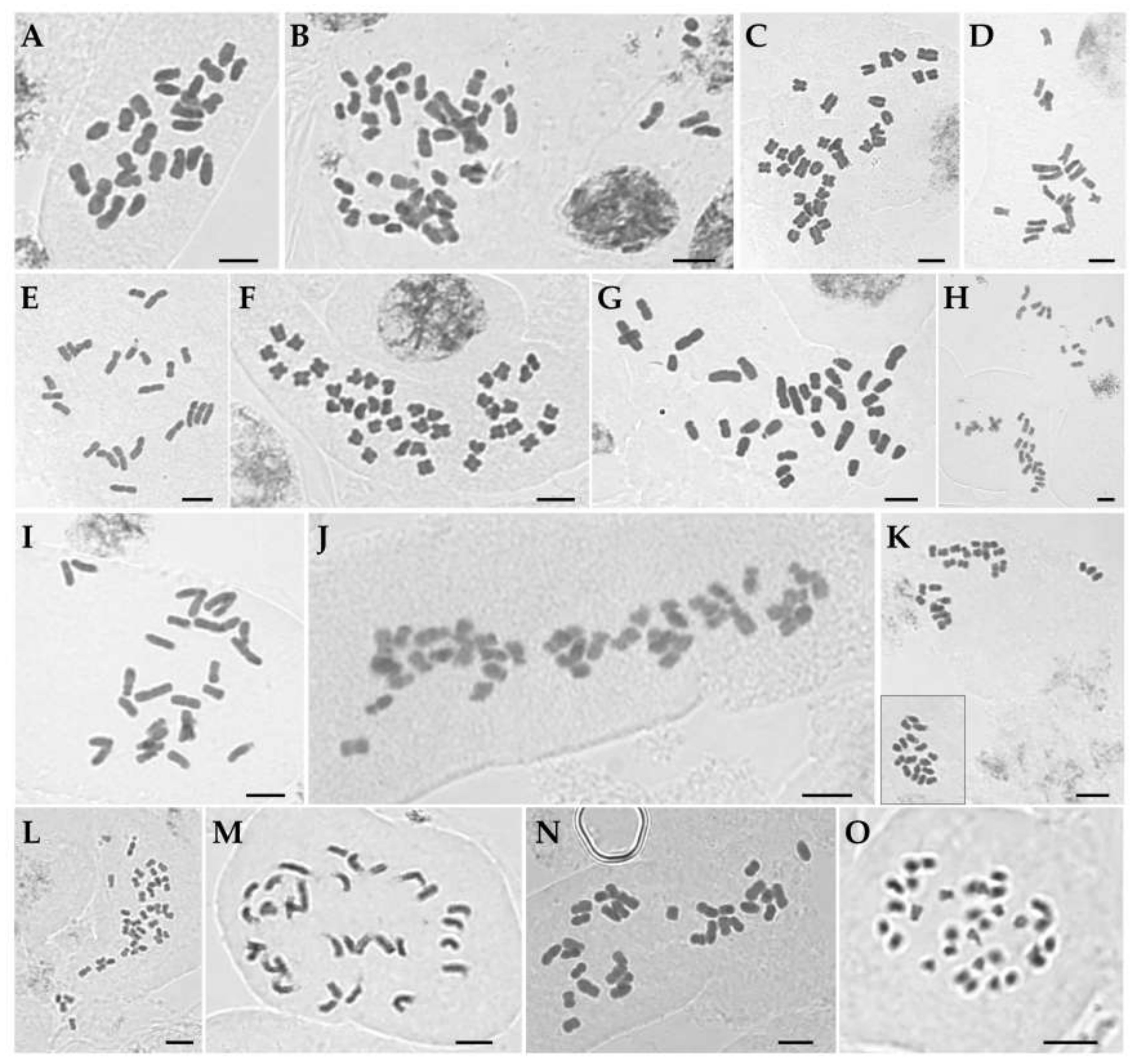 Plants 09 01284 g001 Plants 09 01284 g001