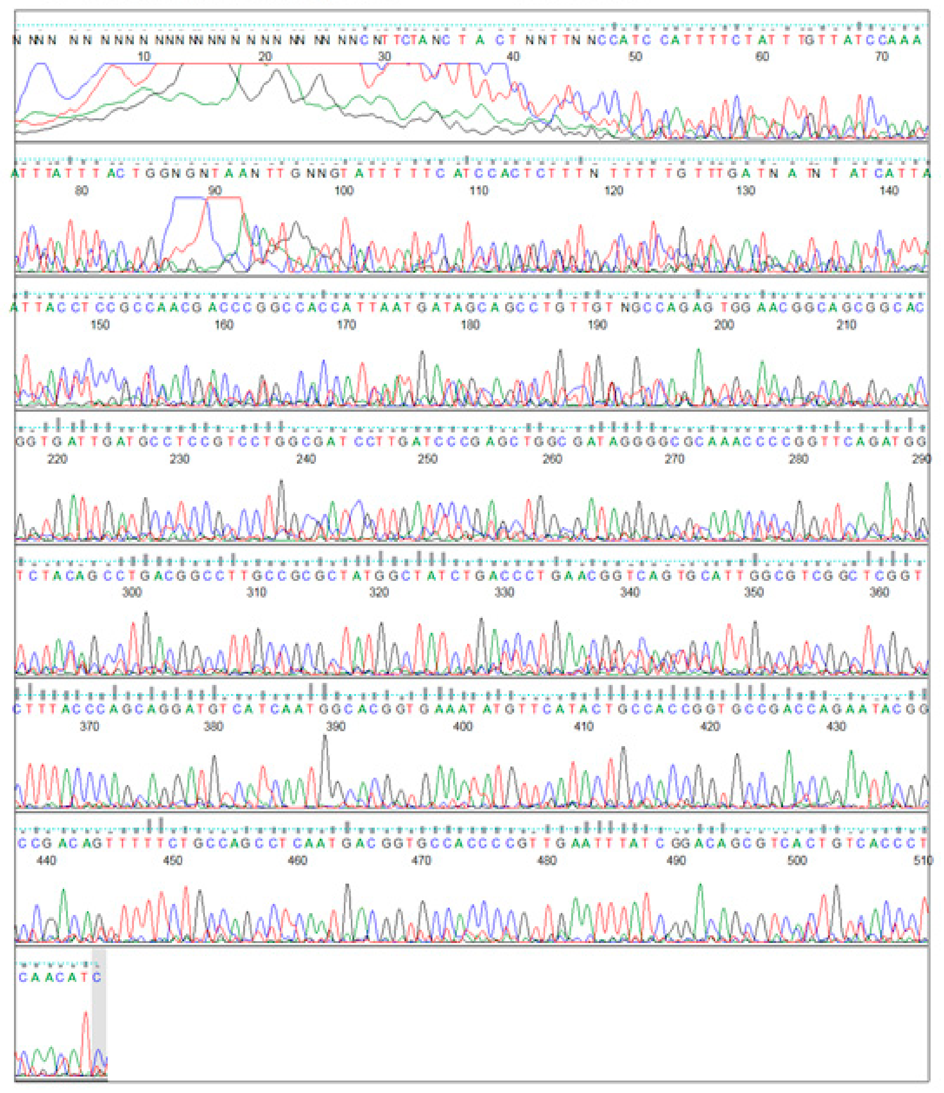 Plants 09 01285 g004 Plants 09 01285 g004