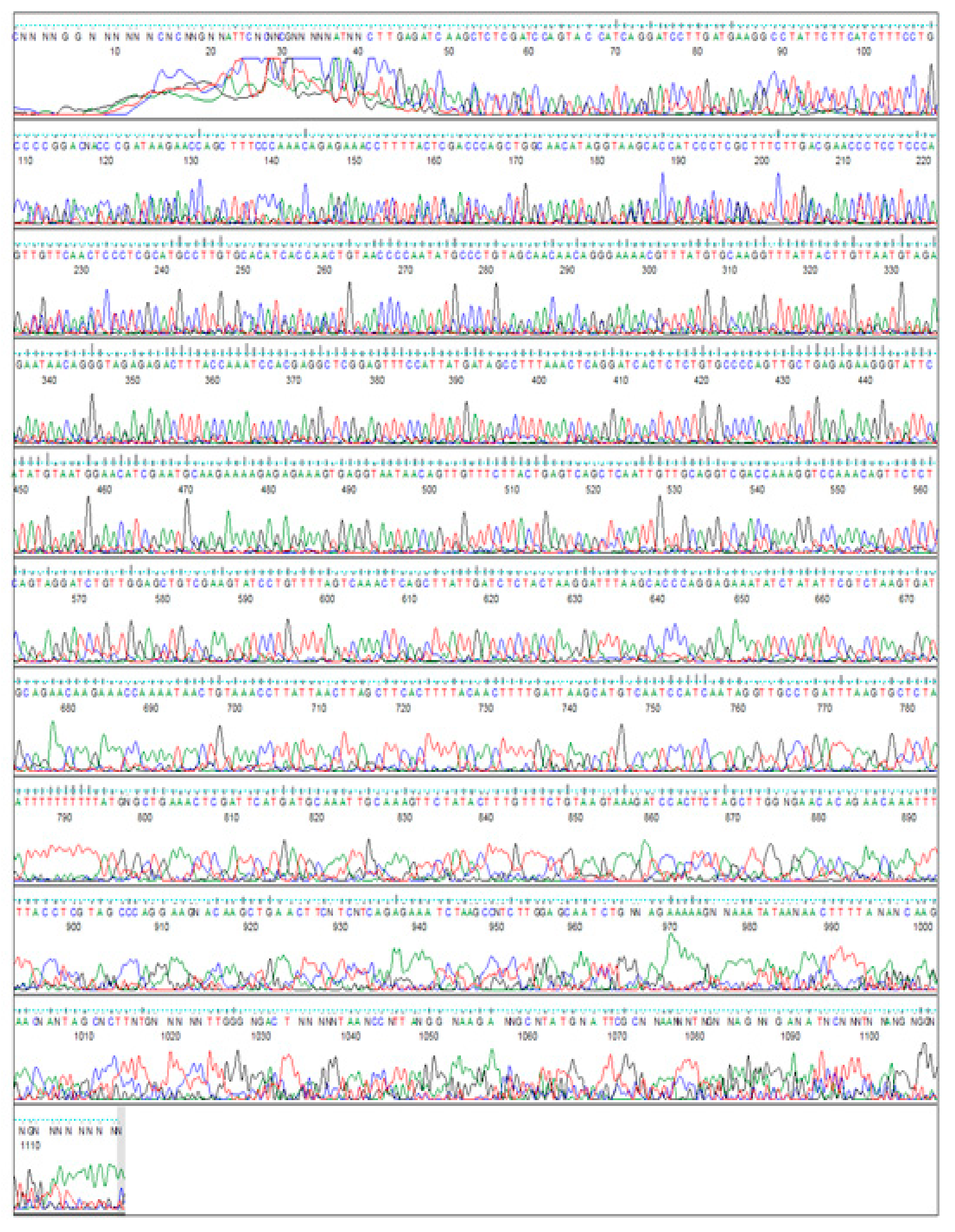 Plants 09 01285 g005 Plants 09 01285 g005