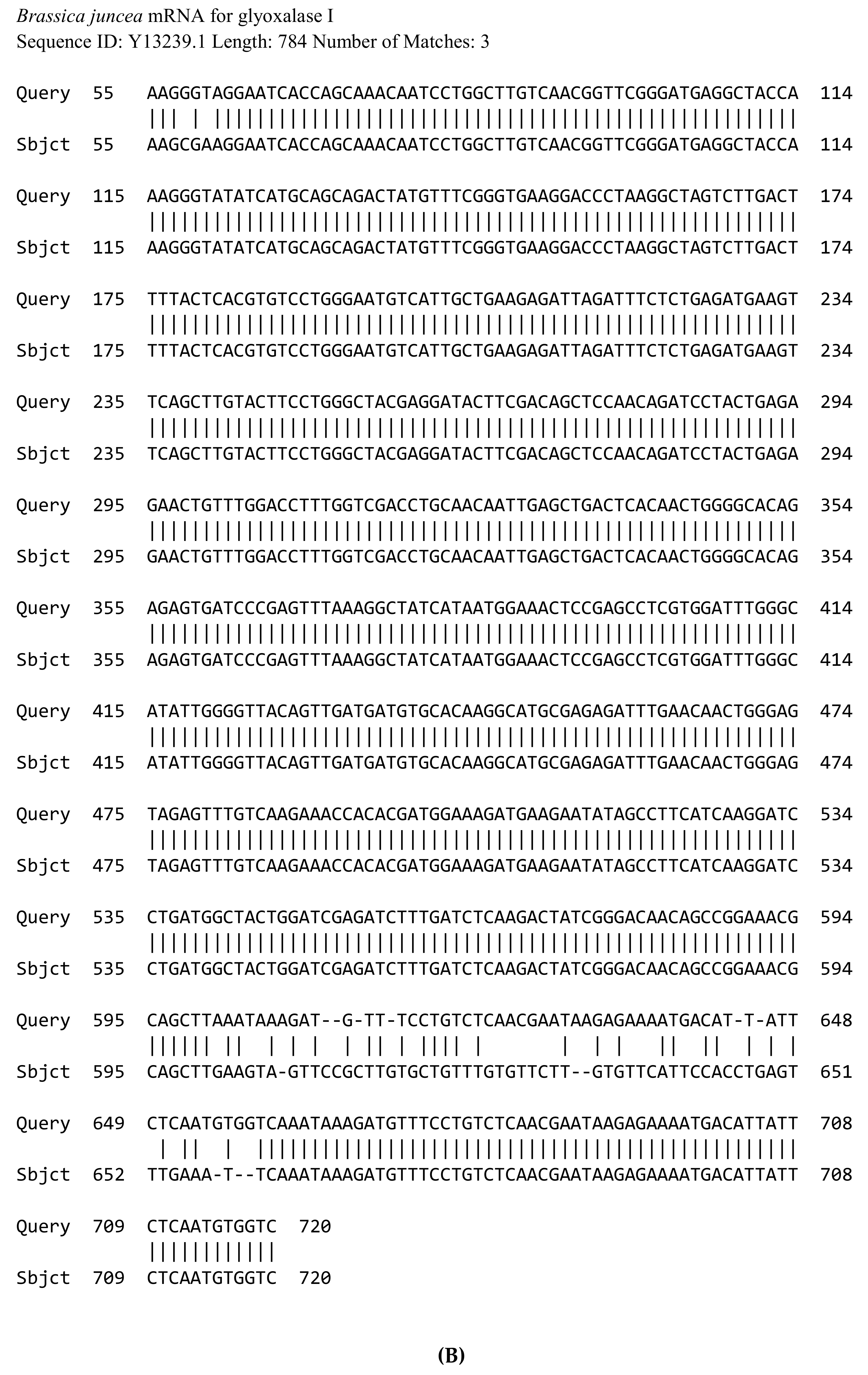 Plants 09 01285 g007b Plants 09 01285 g007b