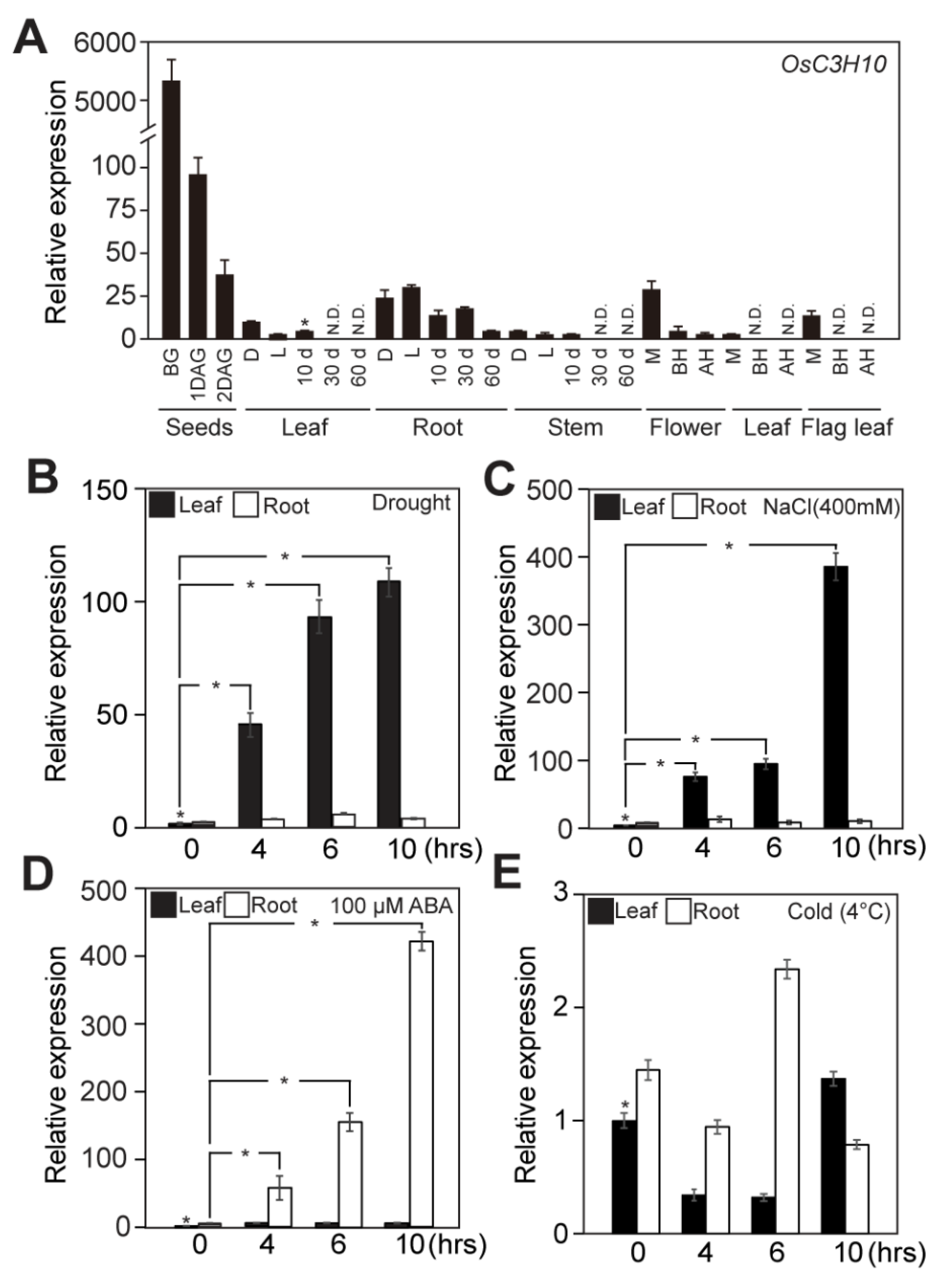 Plants Free Full Text Overexpression Of Osc3h10 A Ccch Zinc Finger Improves Drought Tolerance In Rice By Regulating Stress Related Genes Html