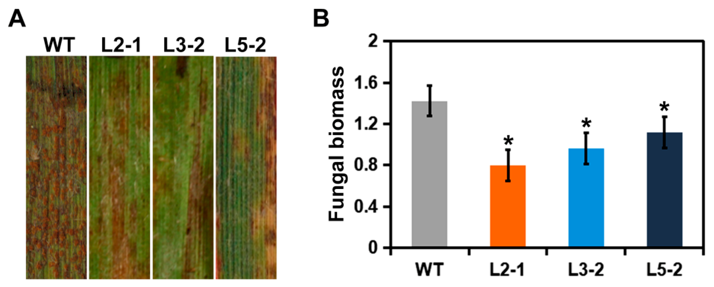 Plants 09 01316 g002 Plants 09 01316 g002