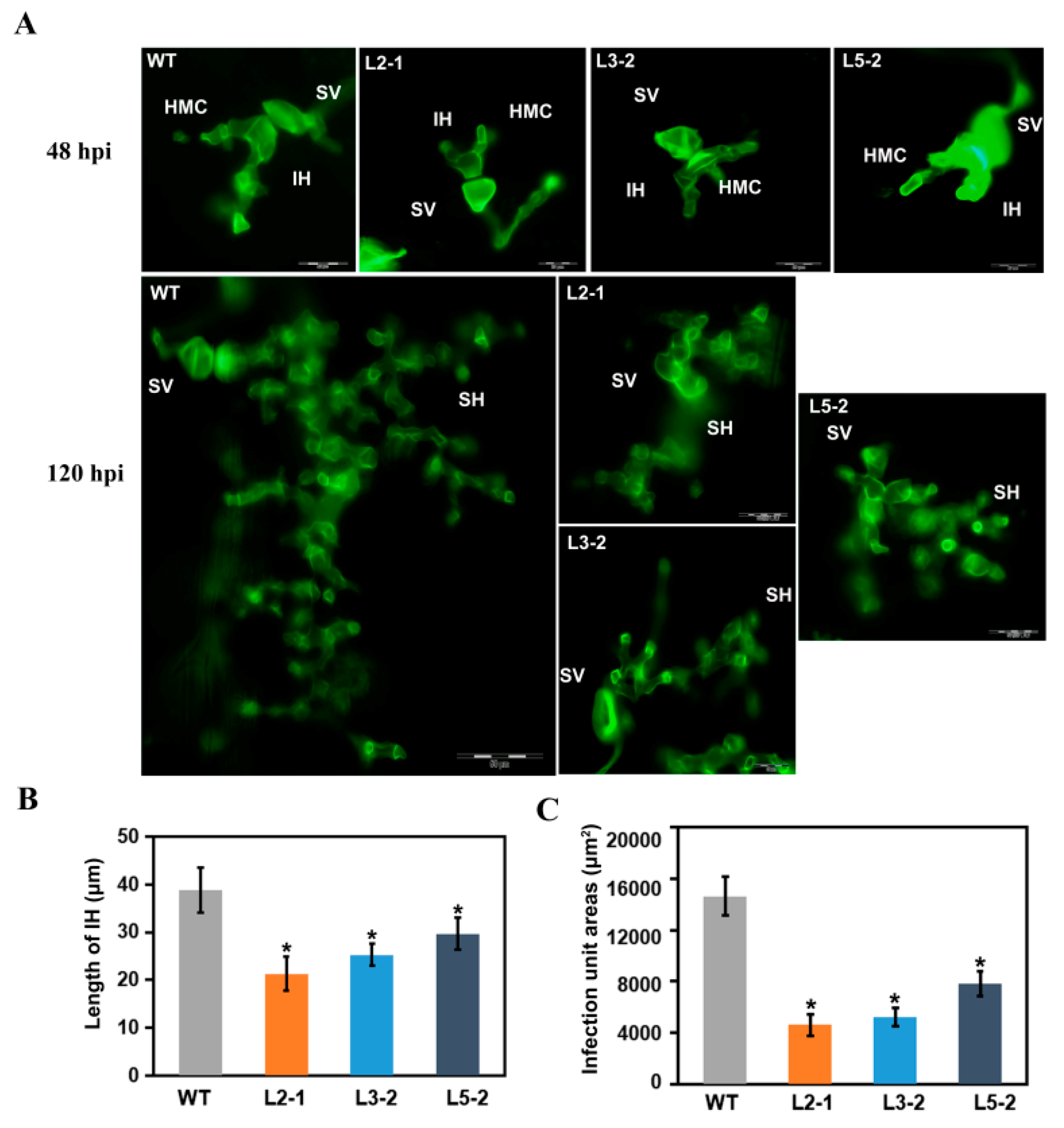 Plants 09 01316 g003 Plants 09 01316 g003