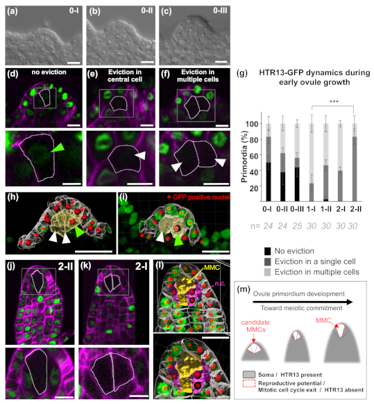 Plants 09 01322 g001