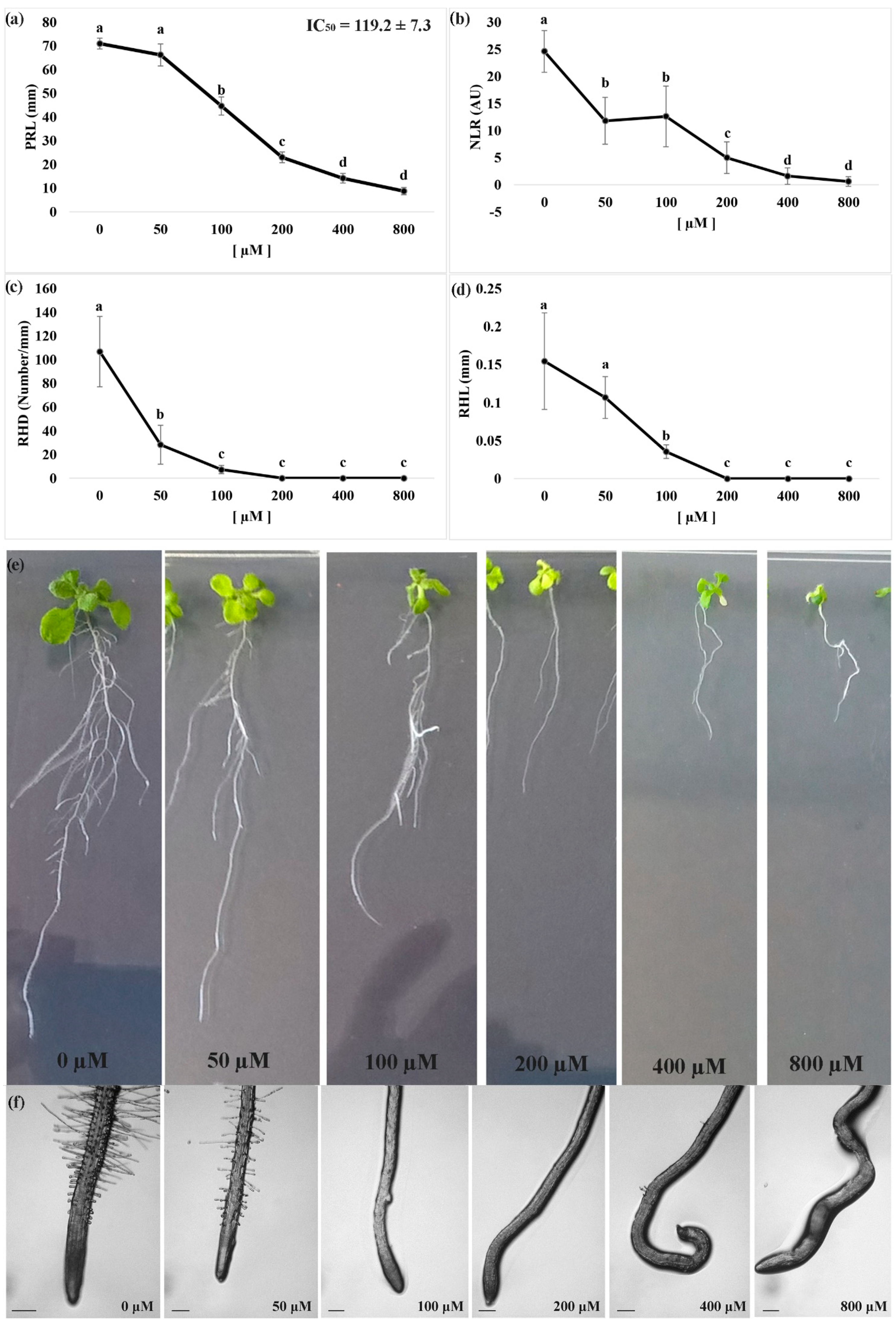 Plants 09 01347 g001 Plants 09 01347 g001