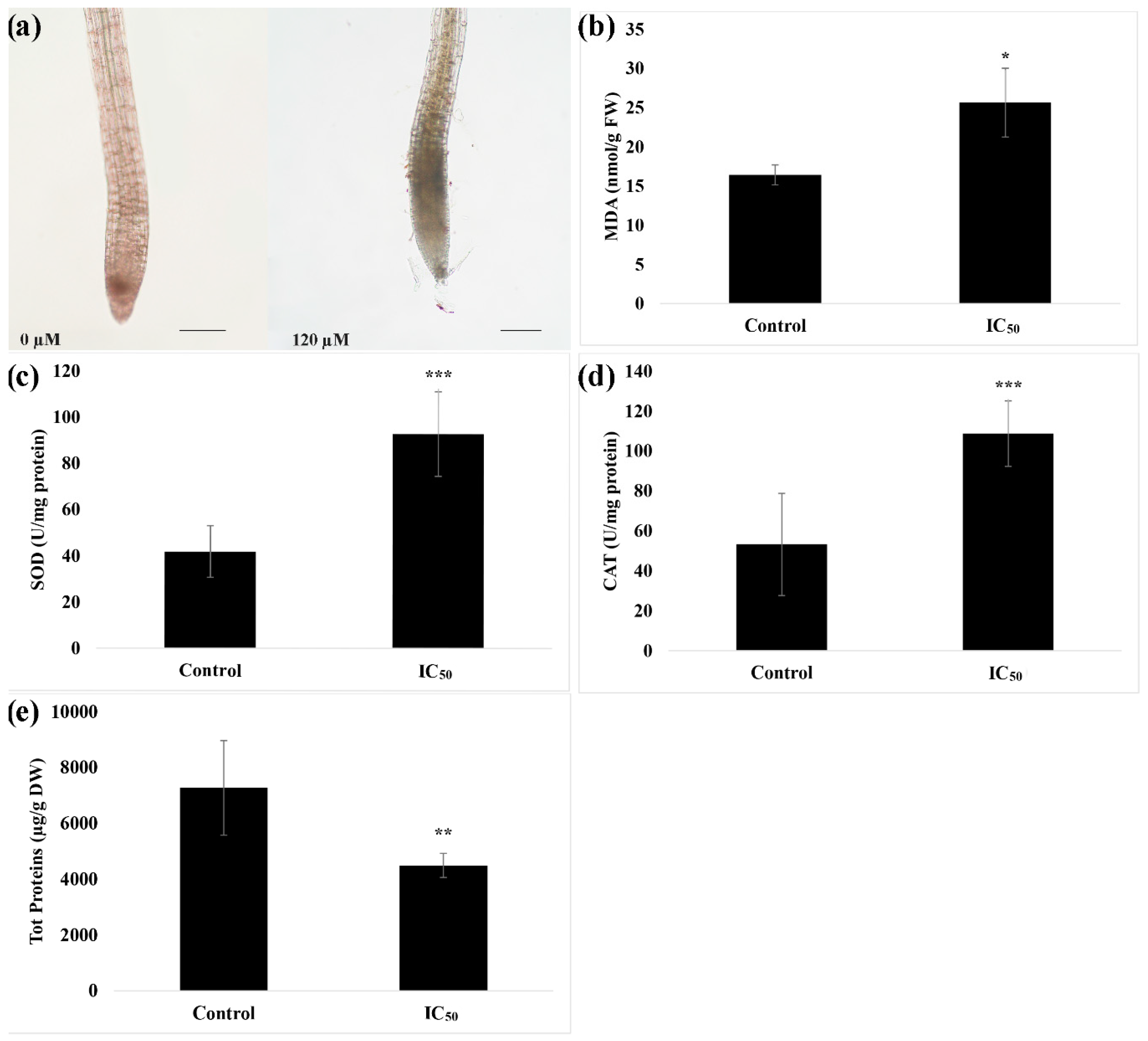 Plants 09 01347 g003 Plants 09 01347 g003