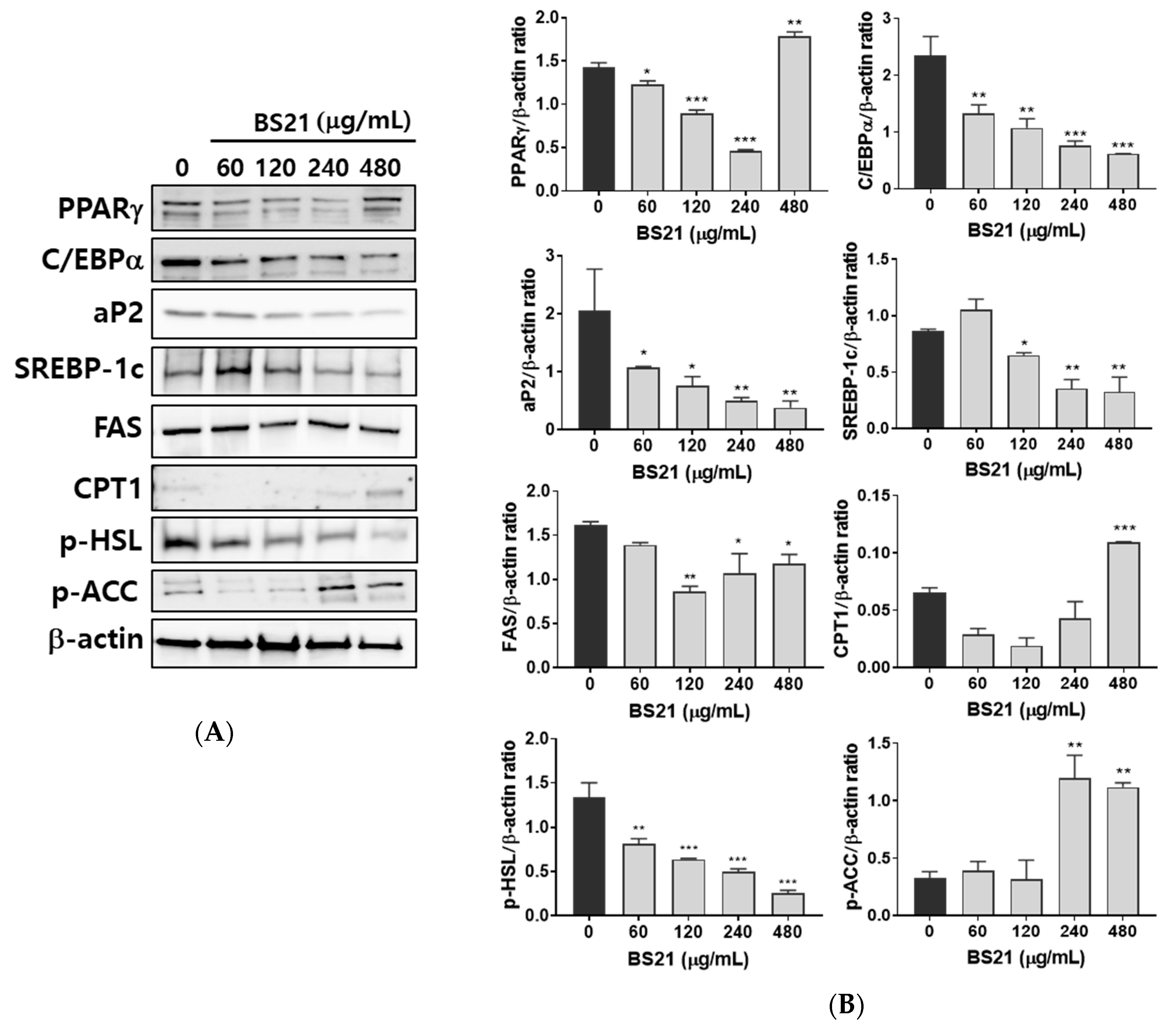 Plants 09 01422 g002 Plants 09 01422 g002