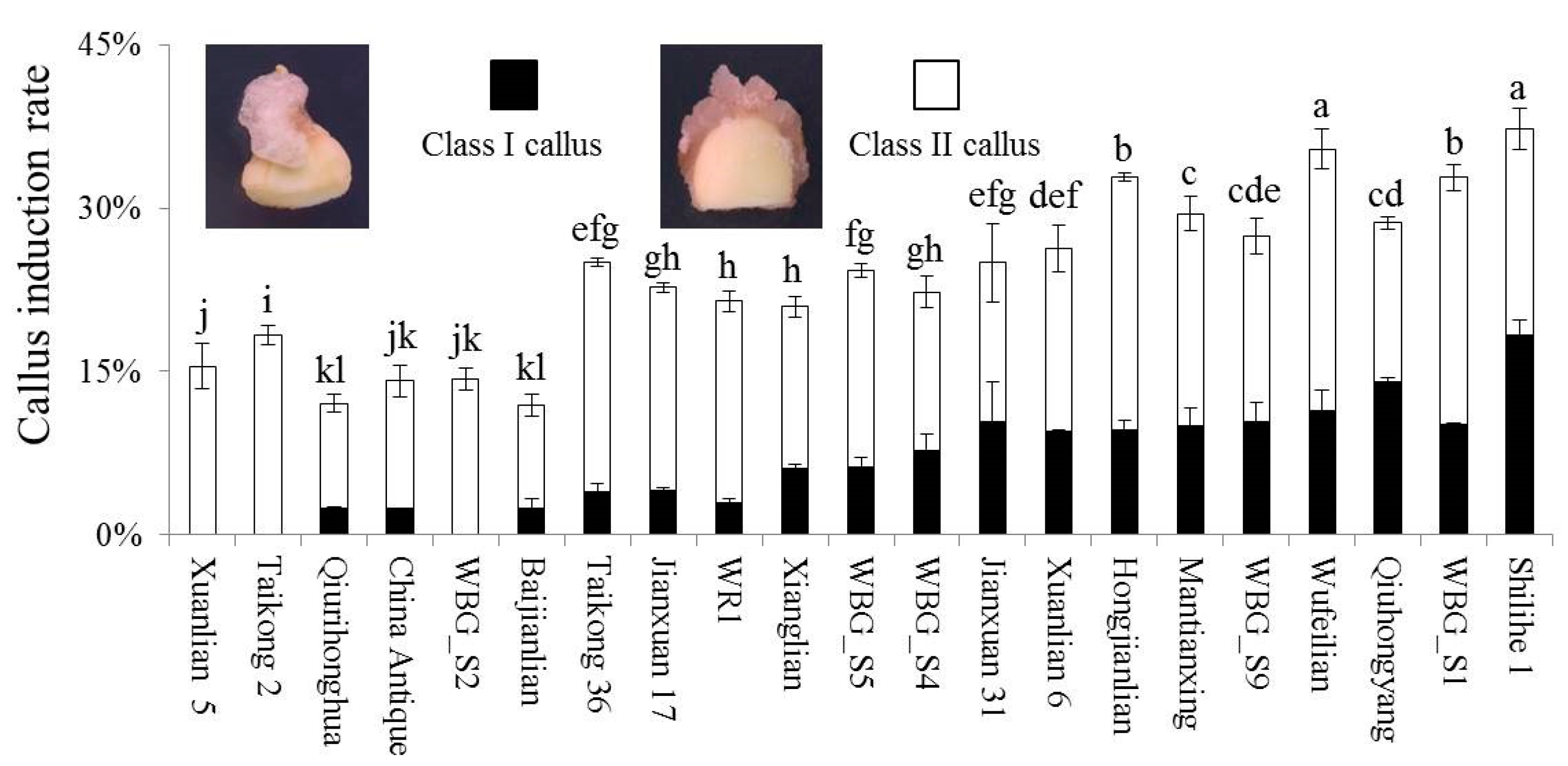 Plants 09 01436 g002 Plants 09 01436 g002