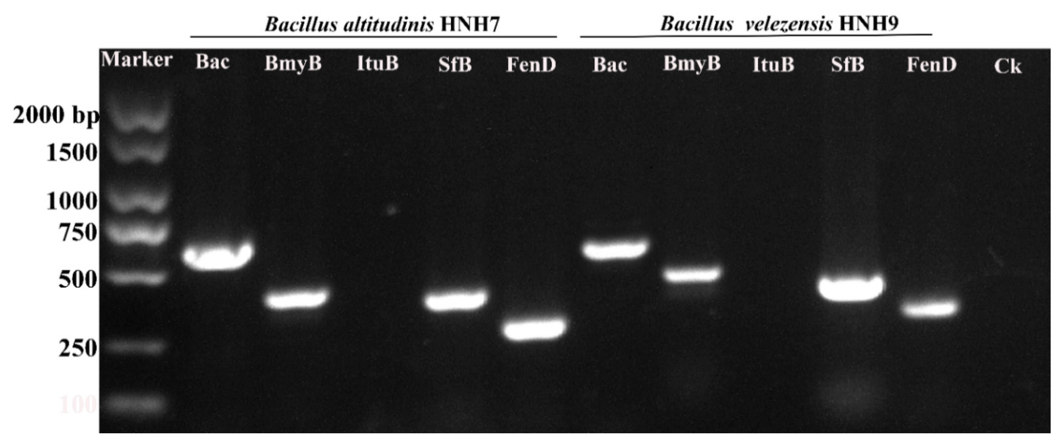 Plants 09 01438 g004