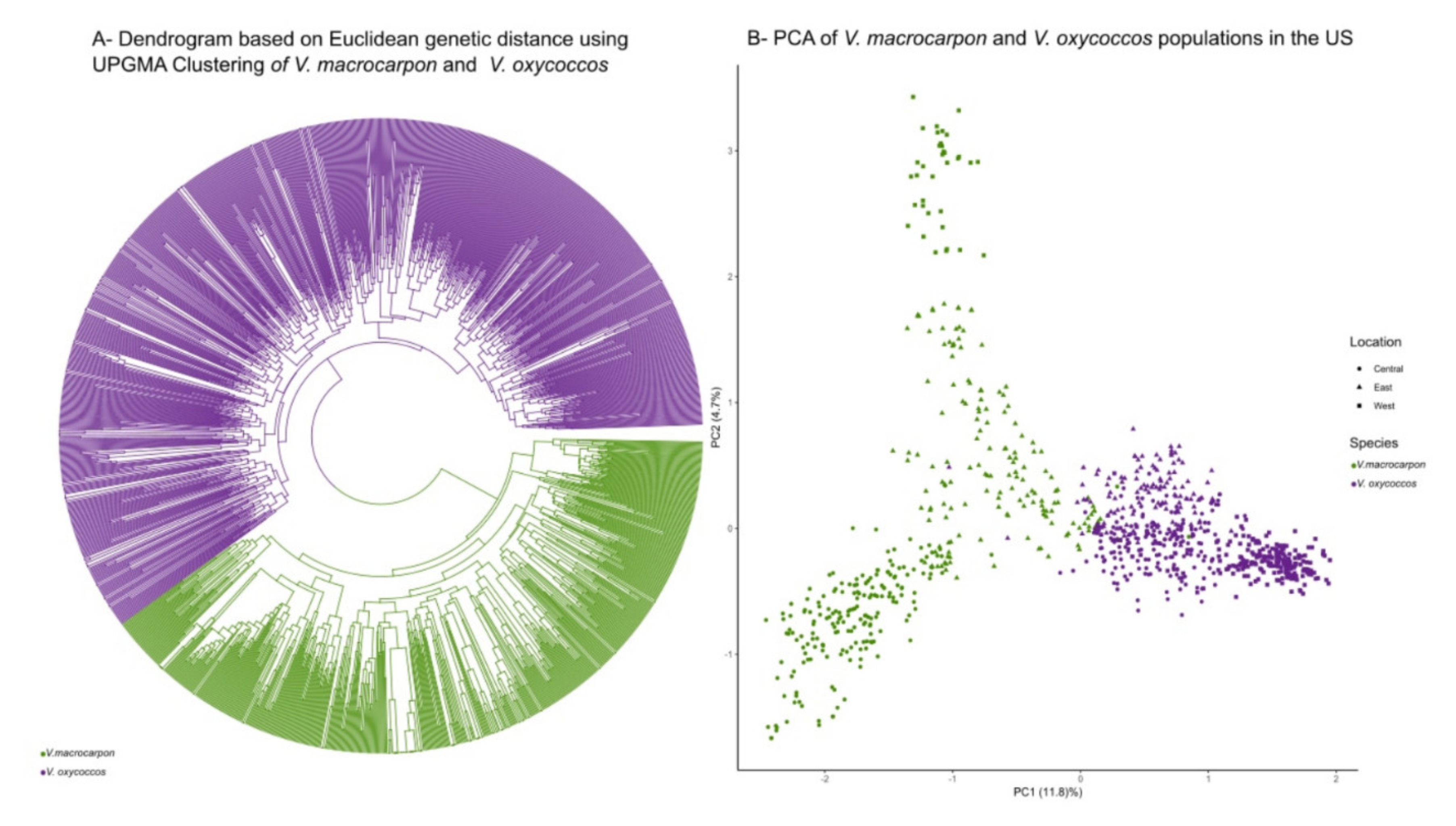 Plants 09 01446 g002 Plants 09 01446 g002