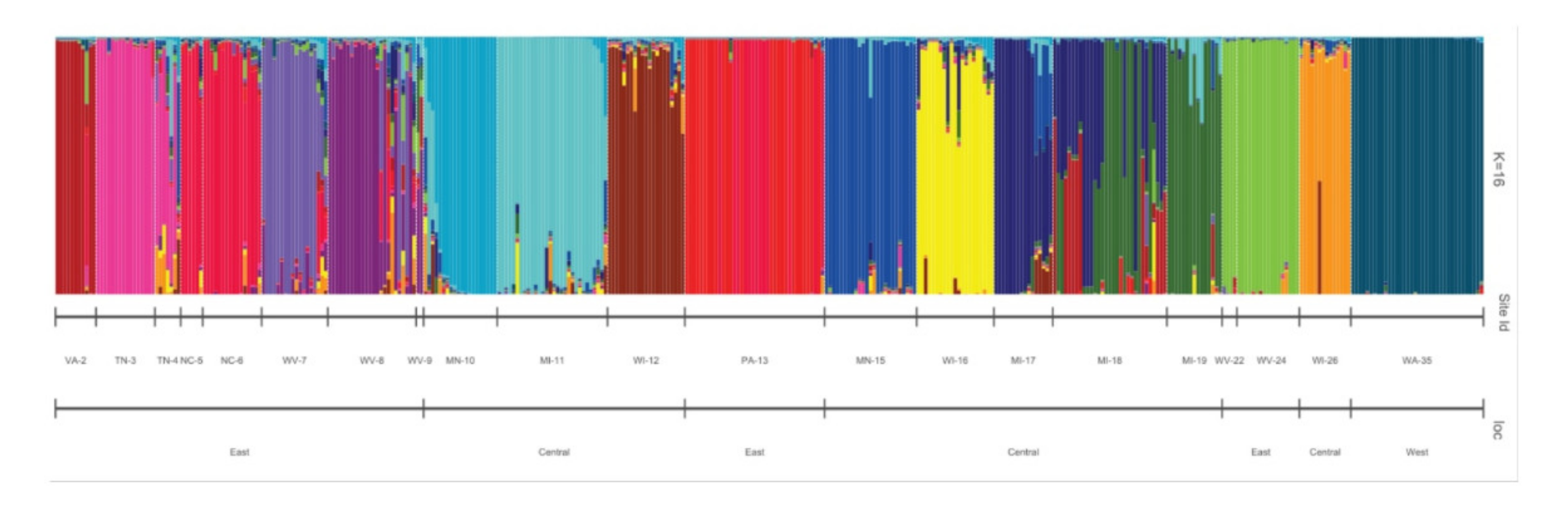 Plants 09 01446 g005 Plants 09 01446 g005